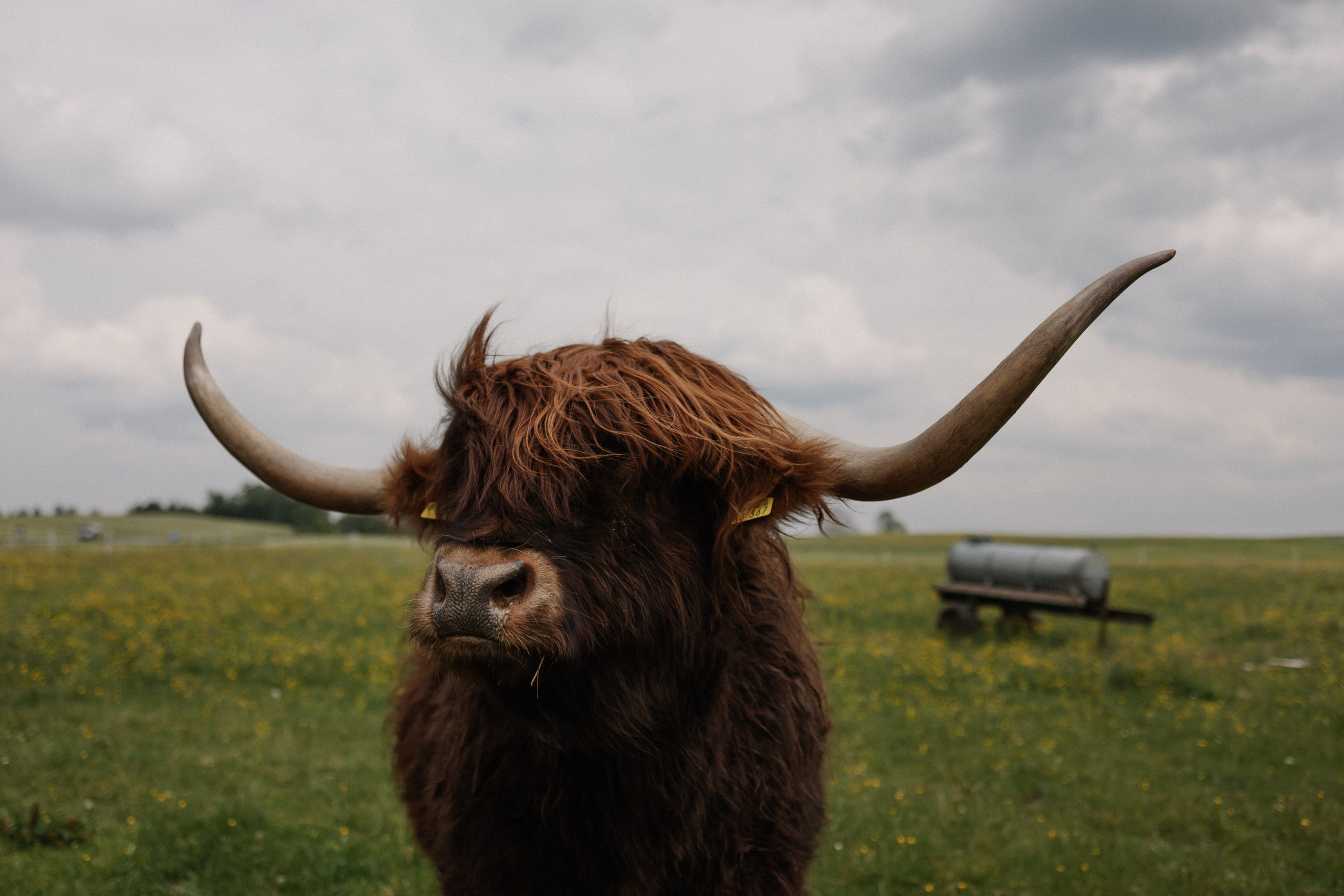 Reportage-Shooting. Fotografin Larysa Chepurko| Füssen| Garmisch-Partenkirchen| Weilheim| Schongau| Murnau| München | Hochzeitsfotograf Füssen | Larysa Photo