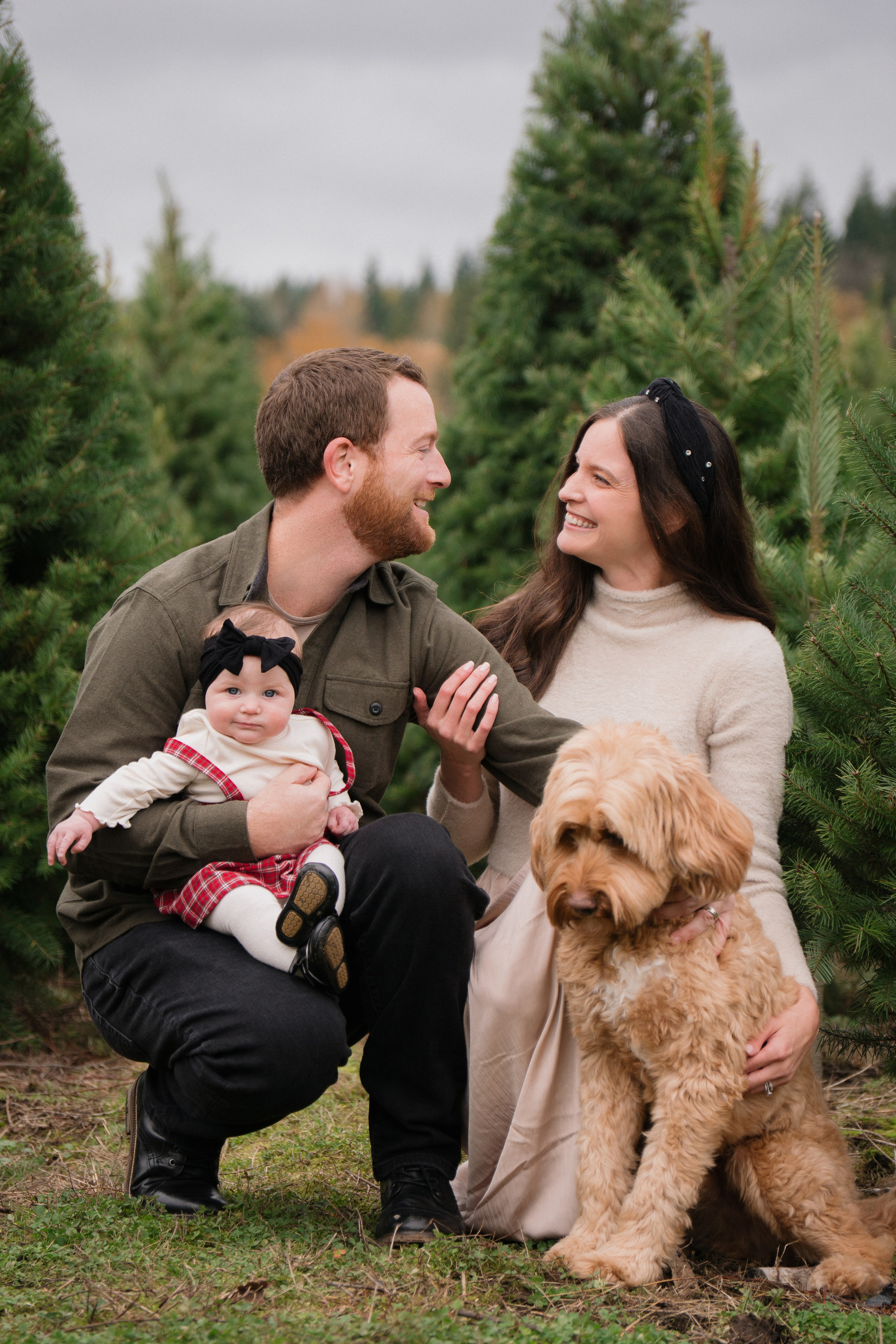Christmas sessions. Photographer in Washington Sophia D