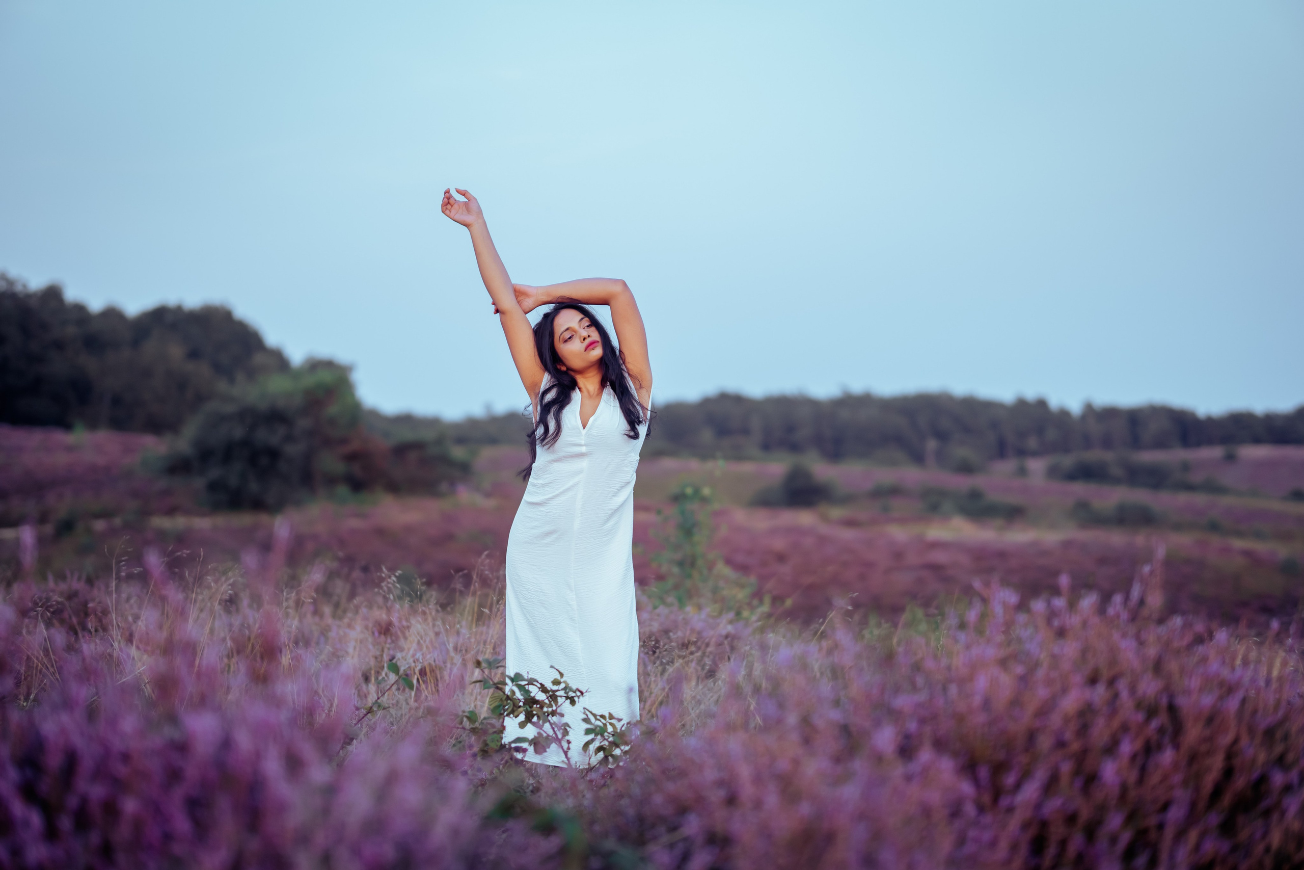woman standing in veluwe heather fields netherlandswoman standing in veluwe heather fields netherlands