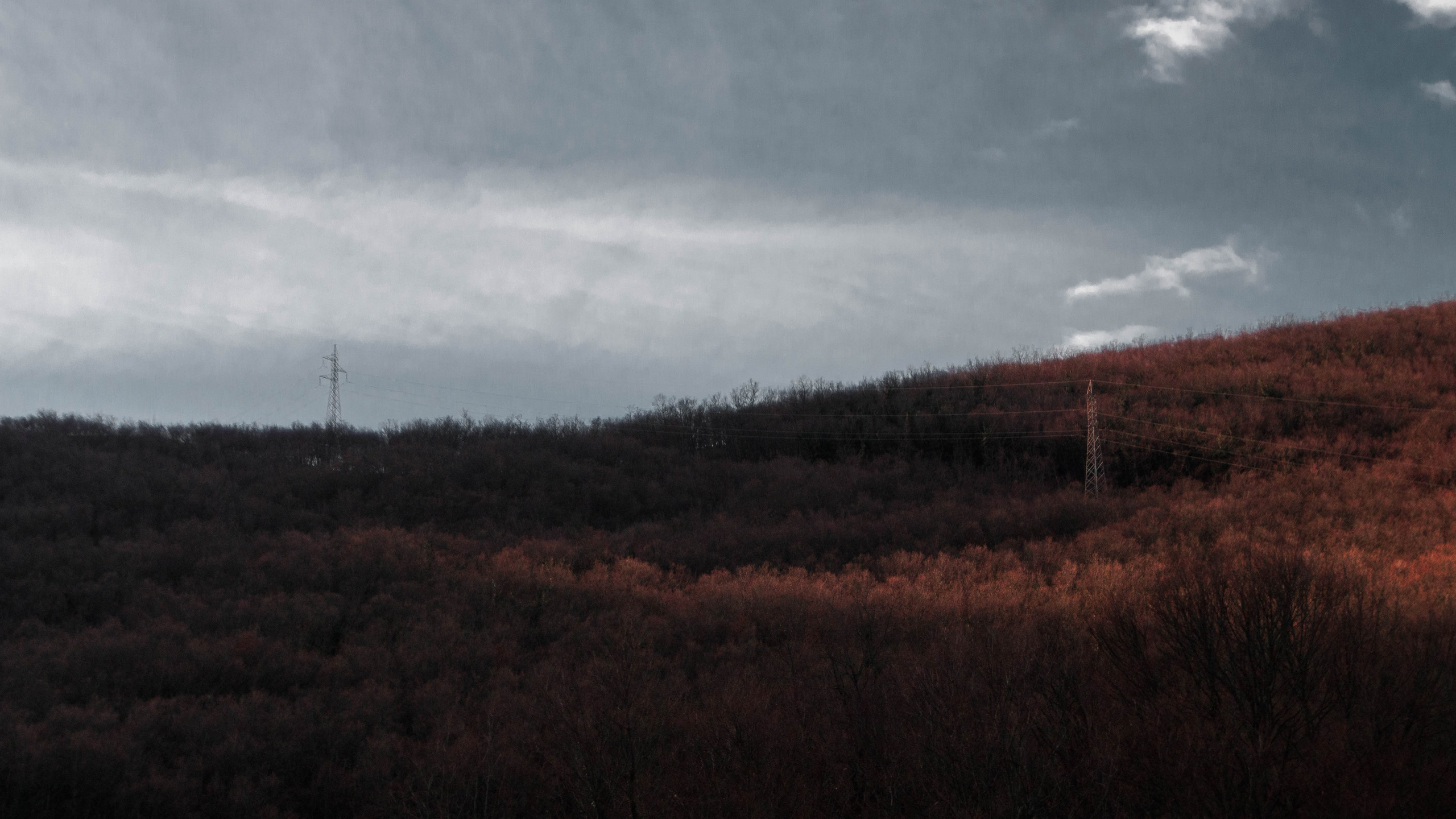 Landscape. Portrait and Street photographer in Vilnius Edgar Shaipunas