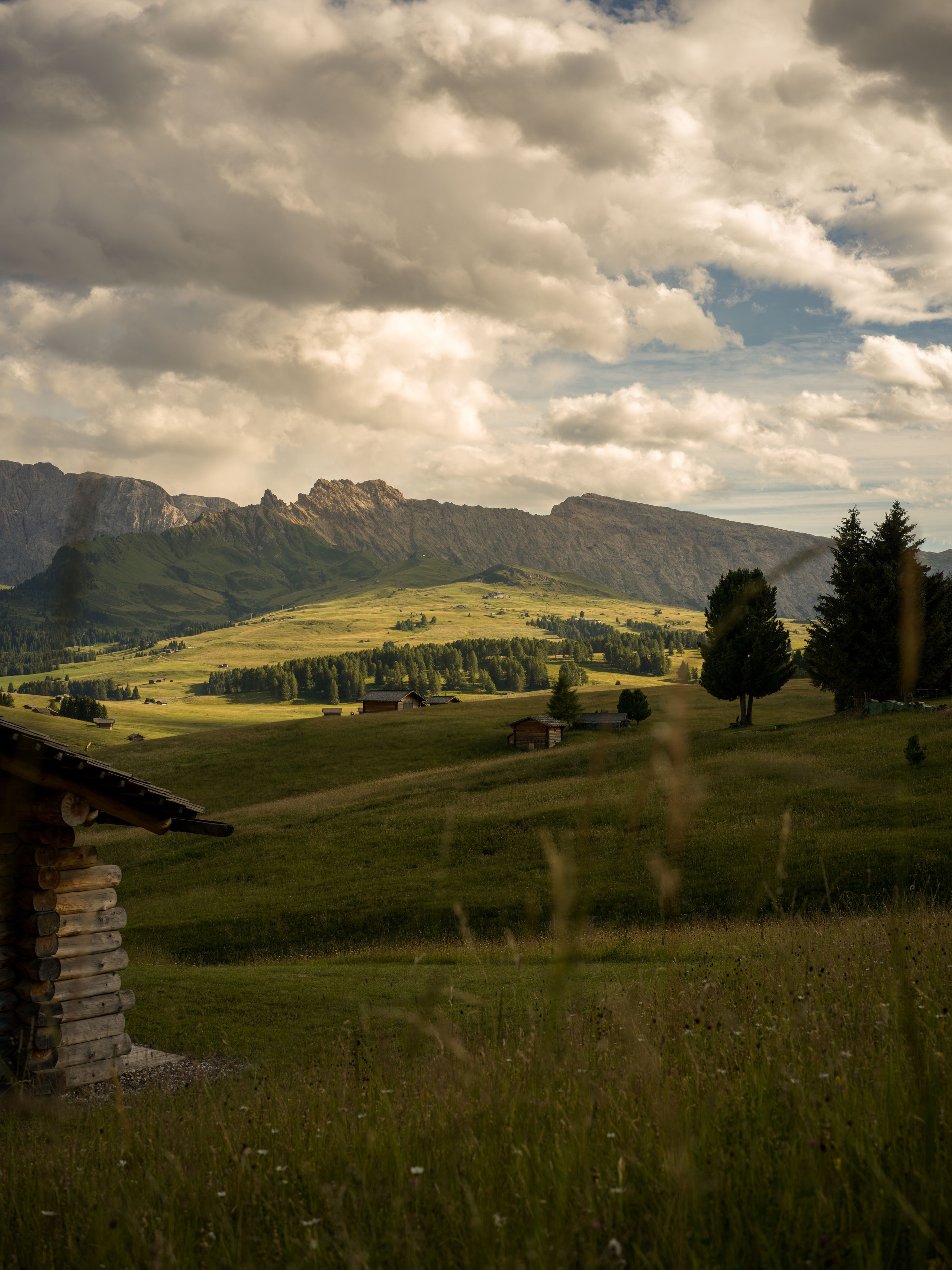 Alpe di Siusi, the Dolomites