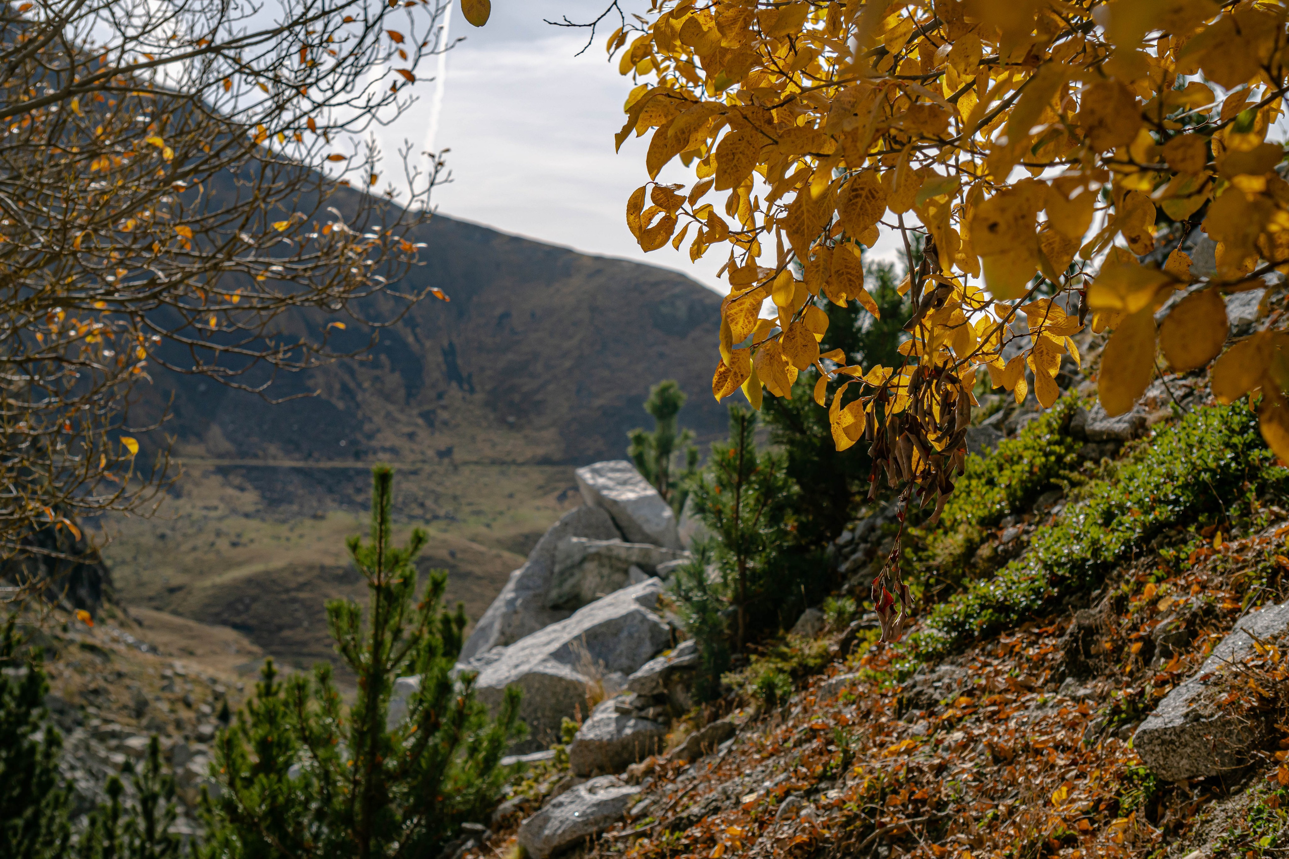 Vall Fosca en otoño. Alba del Norte Studio