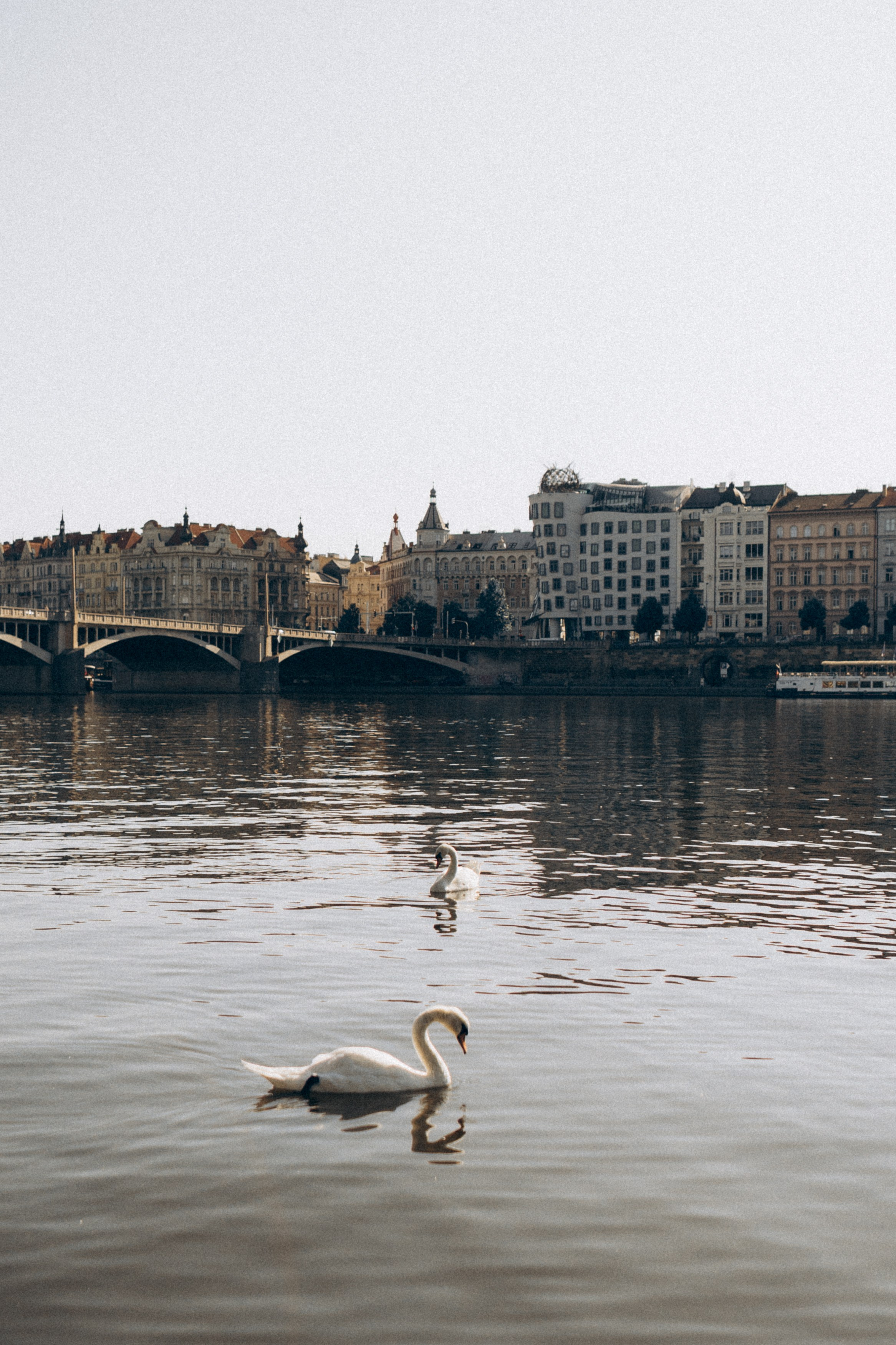 . Фотограф в Праге Анна Лебедева