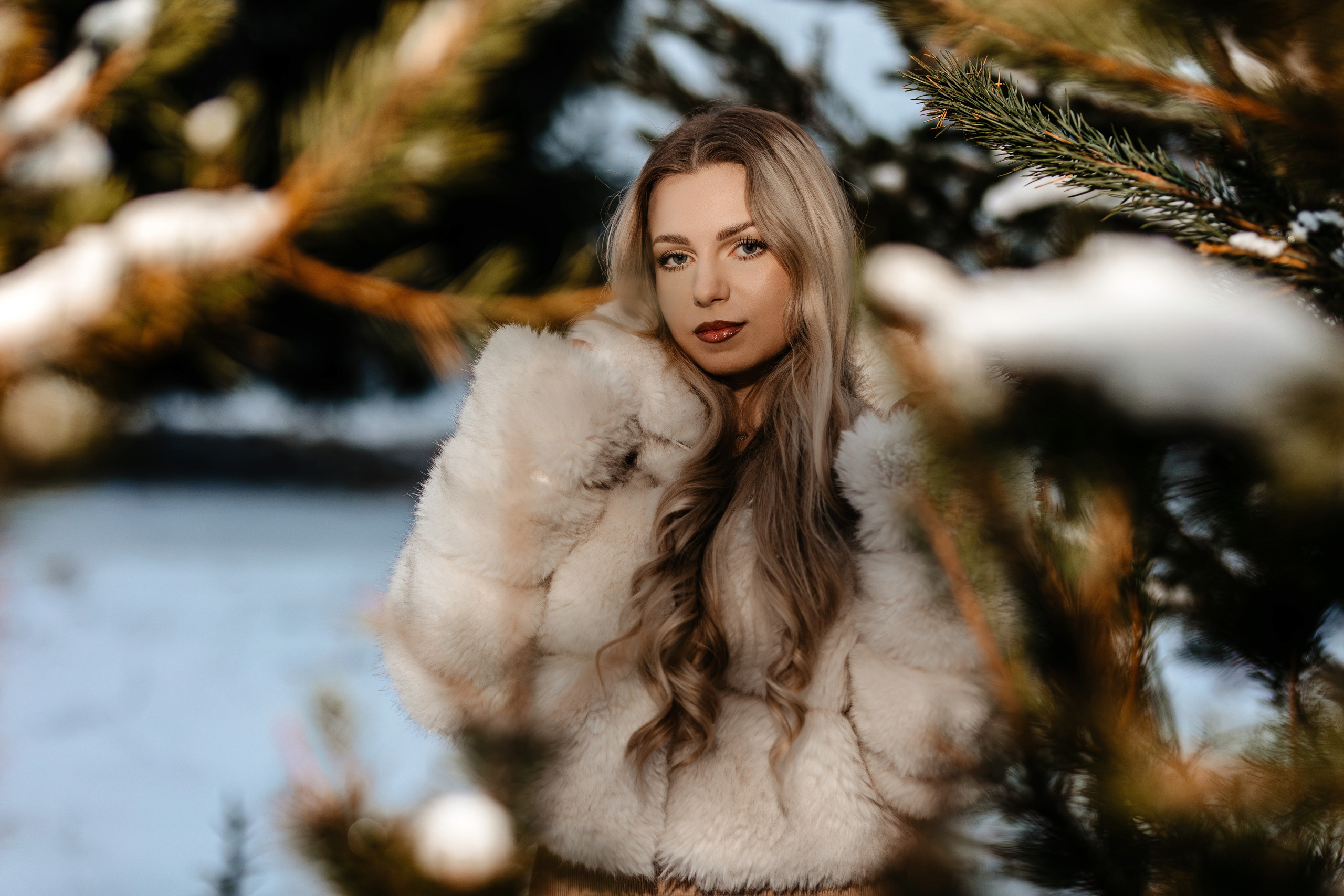 Andra. Ionut Brehuescu — Fotograf