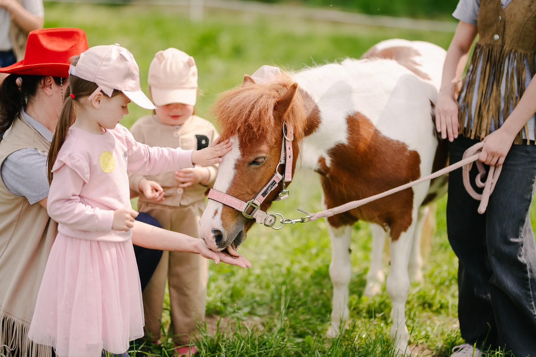 Saulė virė | Laimės festivalis. Rokas Baranauskas fotografija
