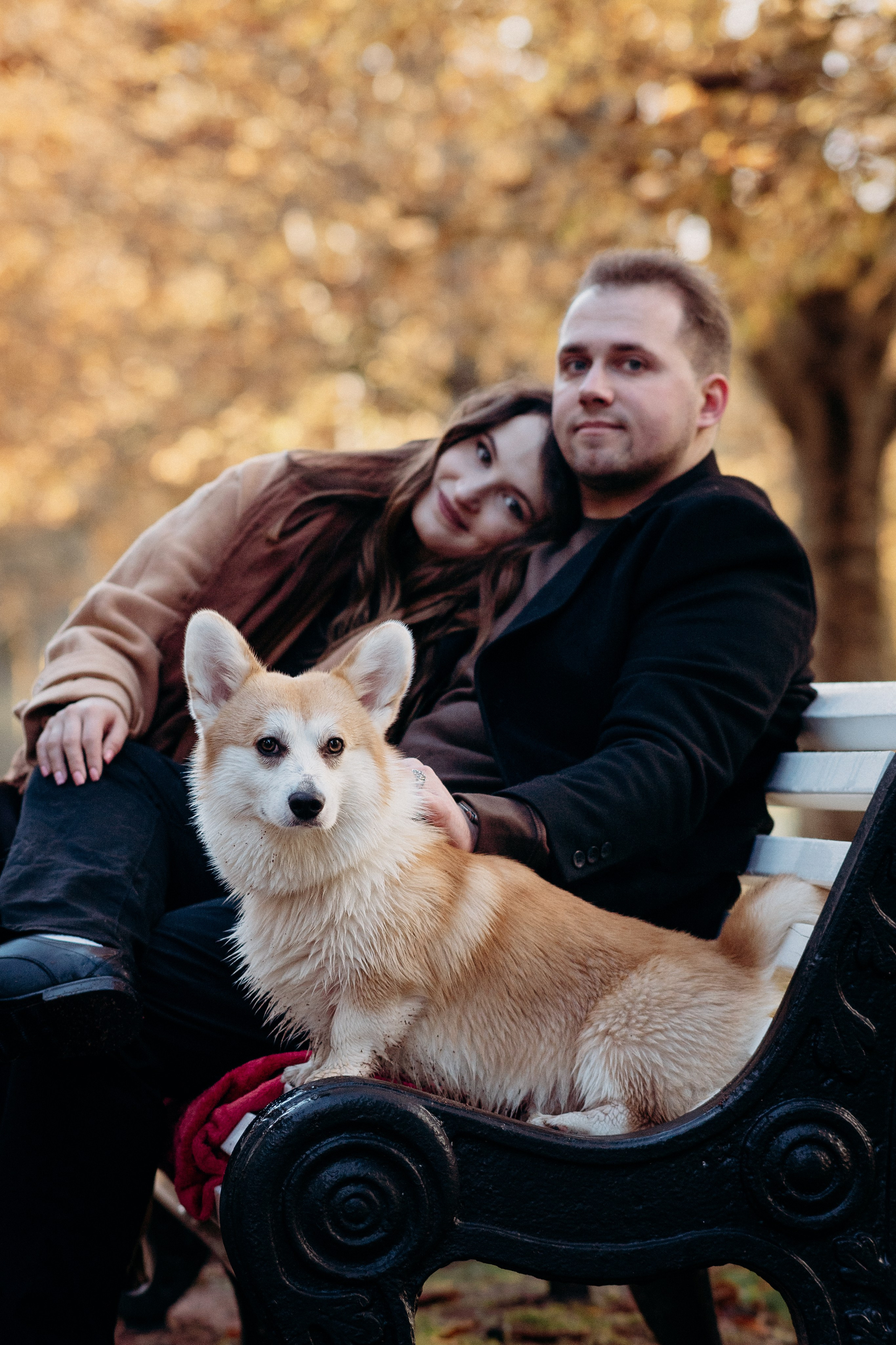 Liisa, Alexander & Marsel. Фотограф-анималист в Таллинне, Катя Лайсаар