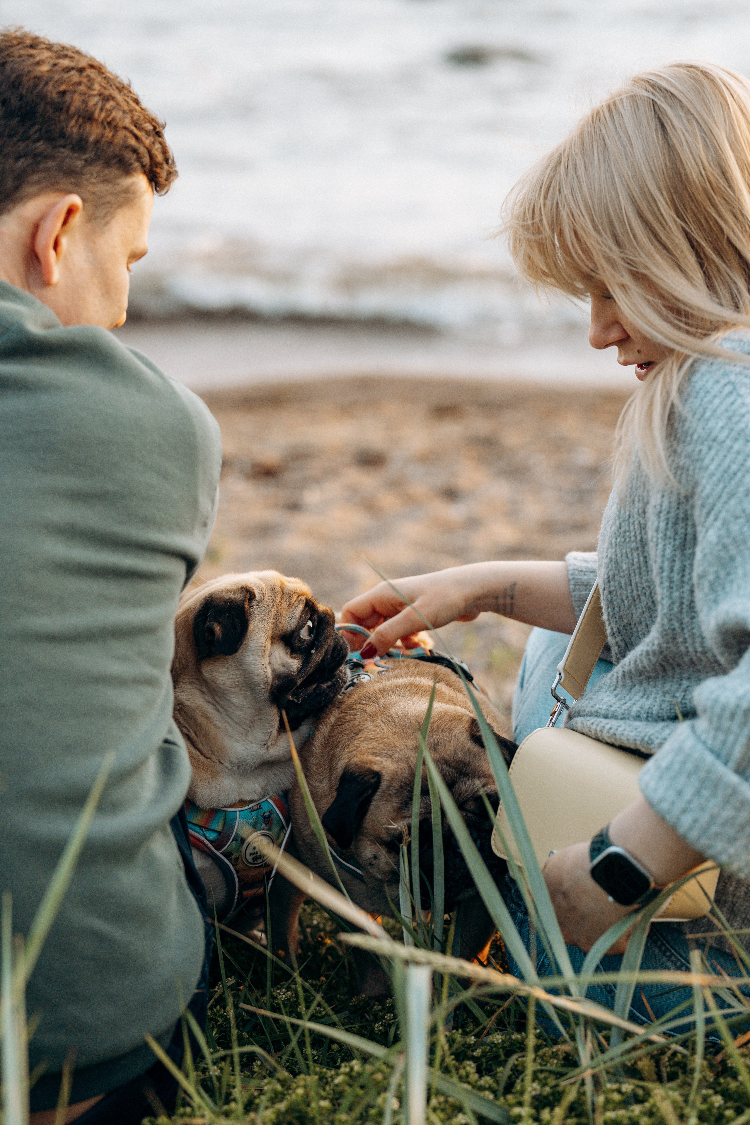 Frank, Tony, Katerina & Lev. Kat Laisaar — Pet photographer in Tallinn