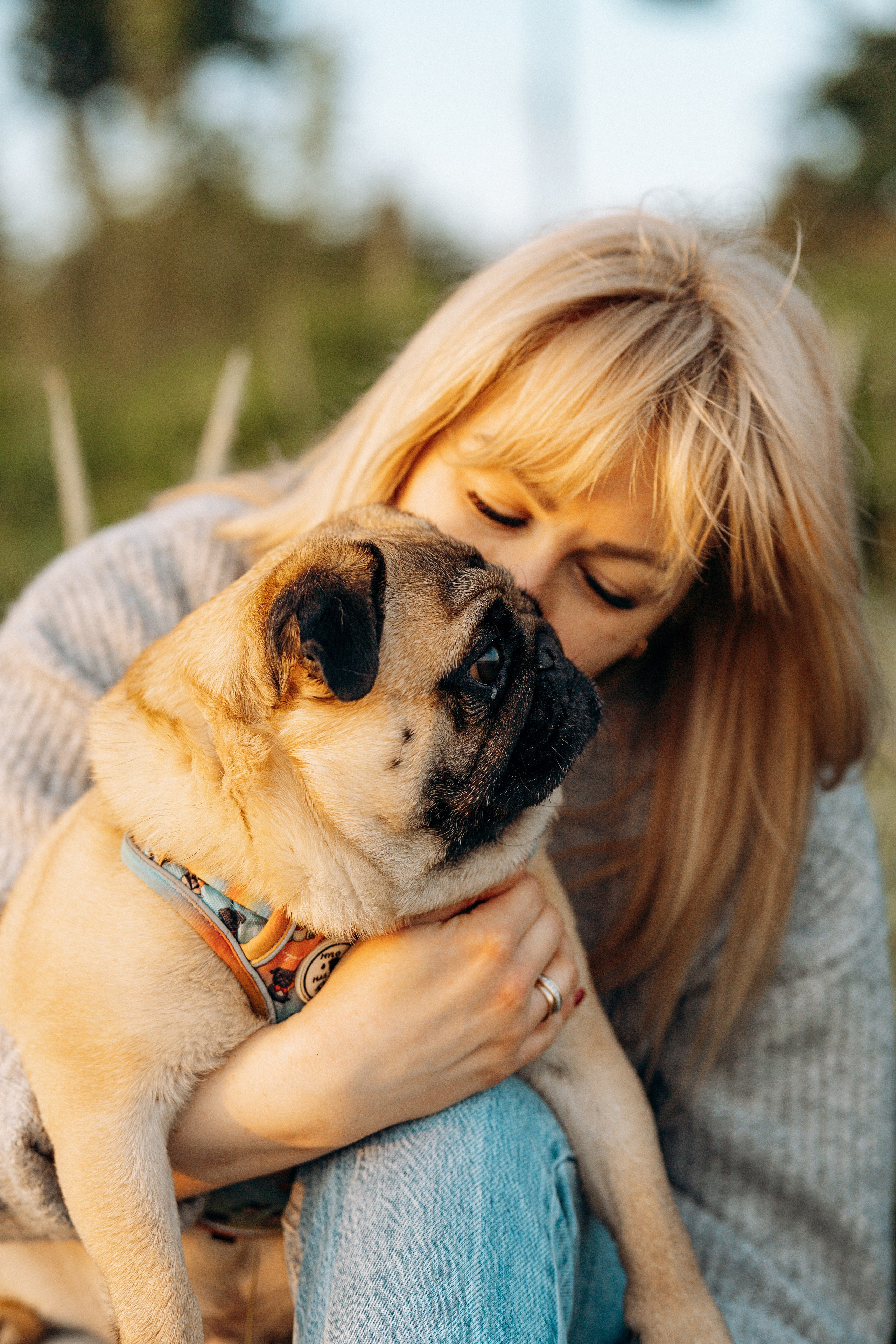 Frank, Tony, Katerina & Lev. Kat Laisaar — Pet photographer in Tallinn