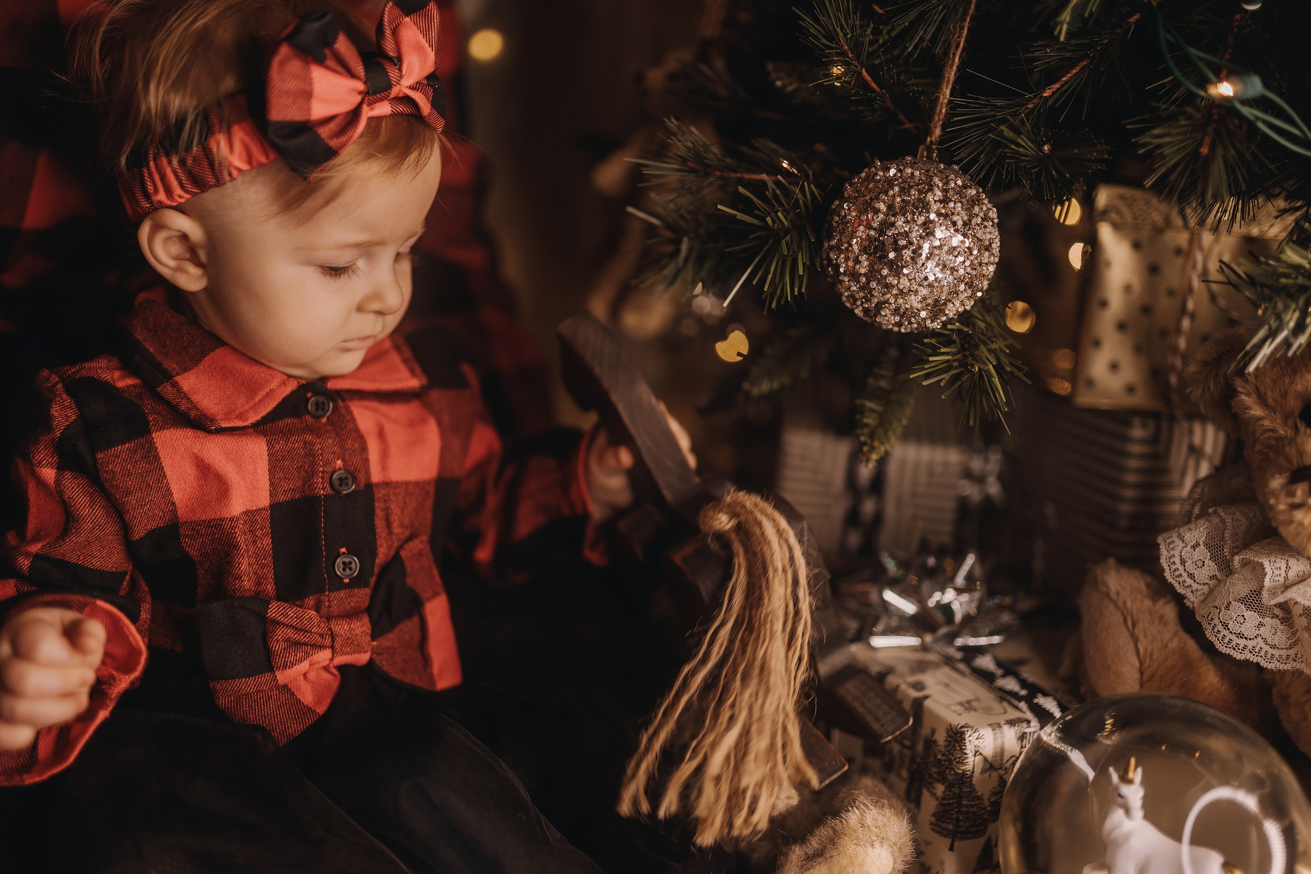 25.11.2023 Christmas Photoshoot 1. Wedding family event photographer in Chicago Nick Yushevich