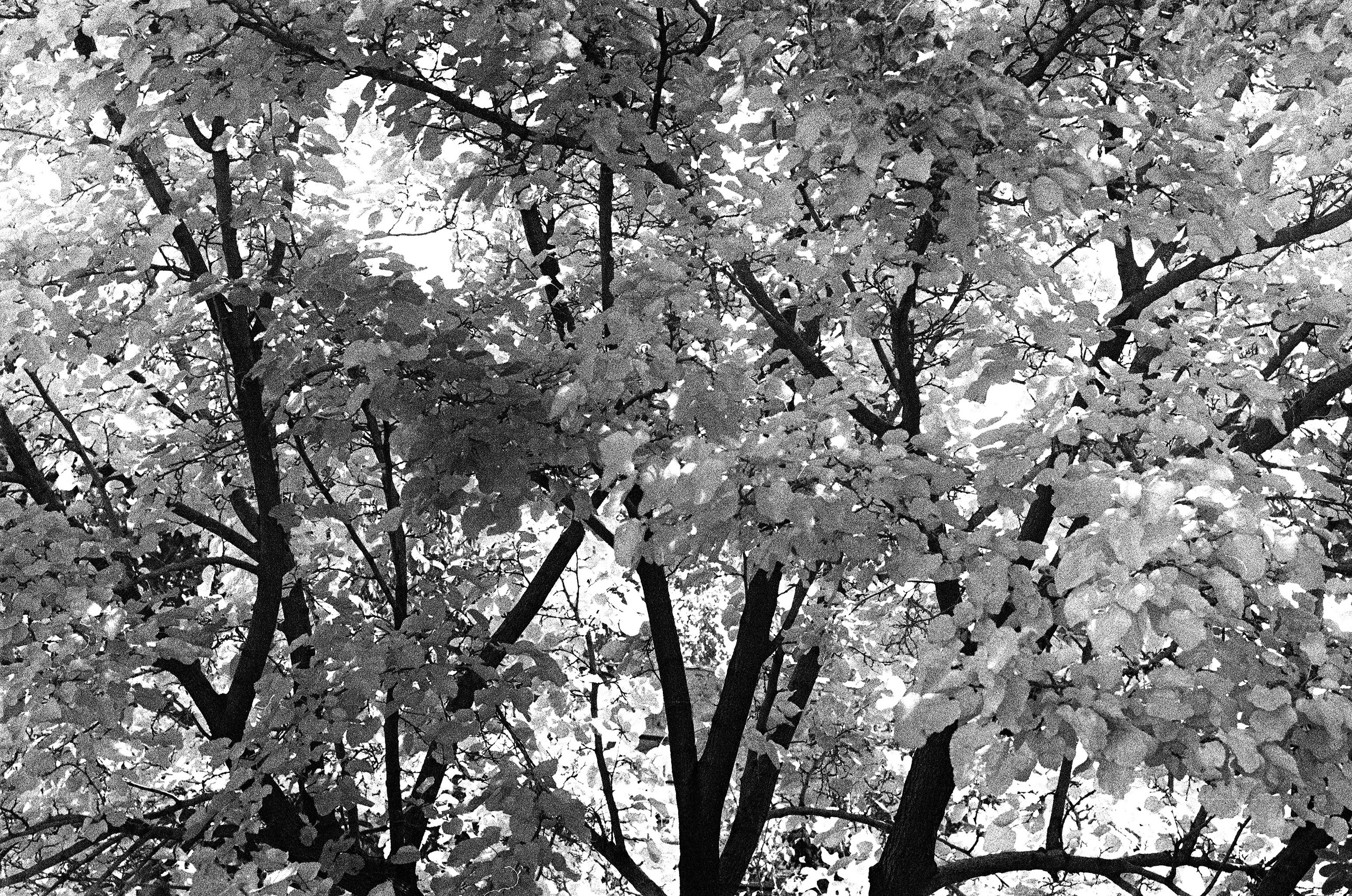 Personal Photography. Arman Milani, Brand-Focused Video Production & Content Creation, Based in Berlin