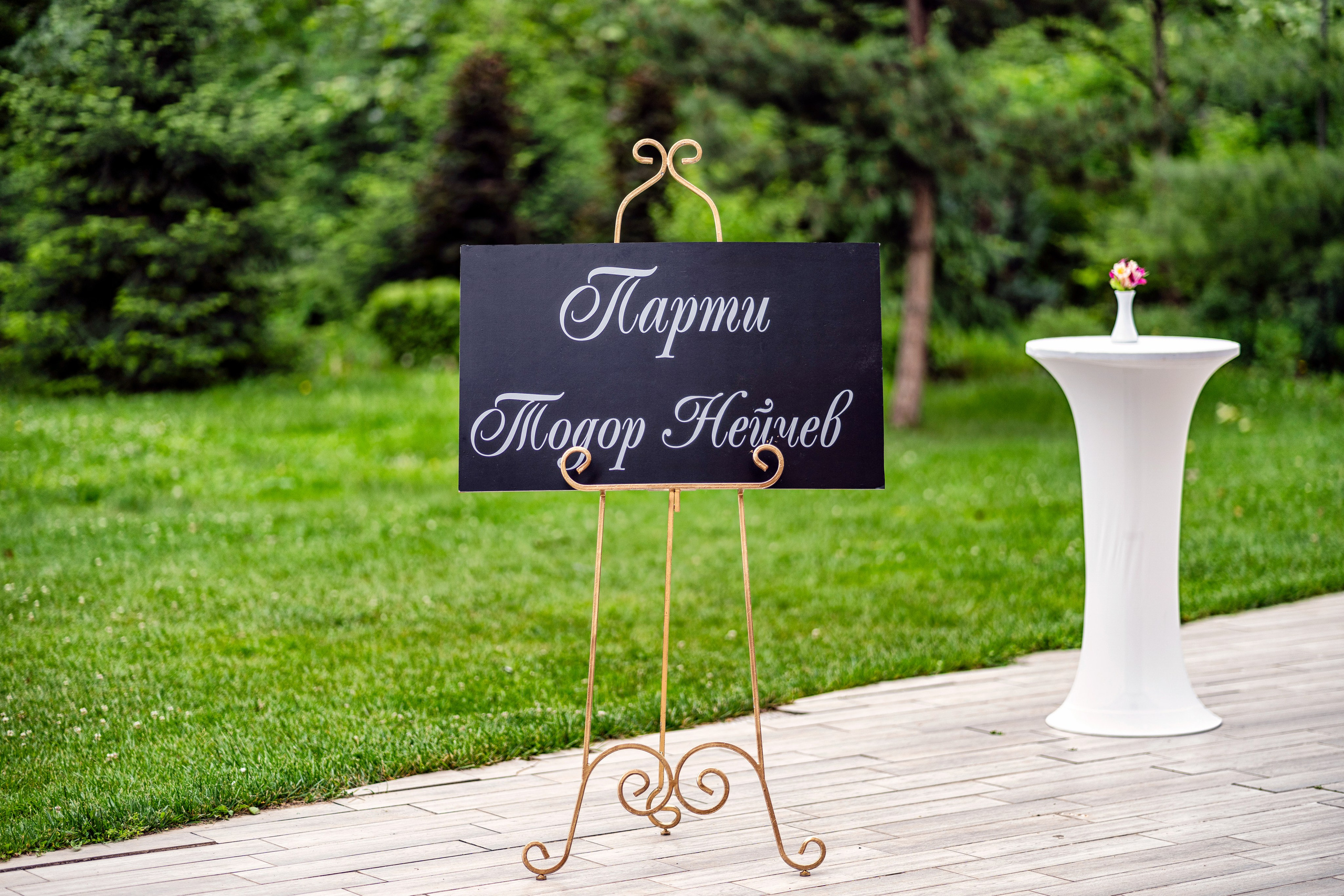 Тодор Нейчев. Професионален фотограф в Пловдив и областта