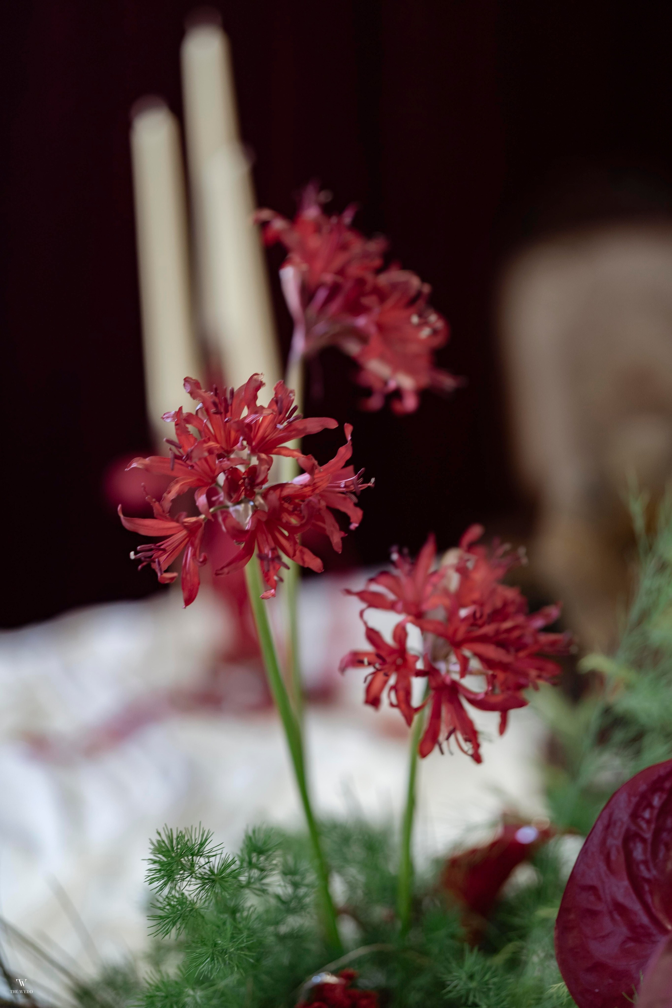 NGHIA & NGOC. WEDDING PHOTOGRAPHER IN VIETNAM