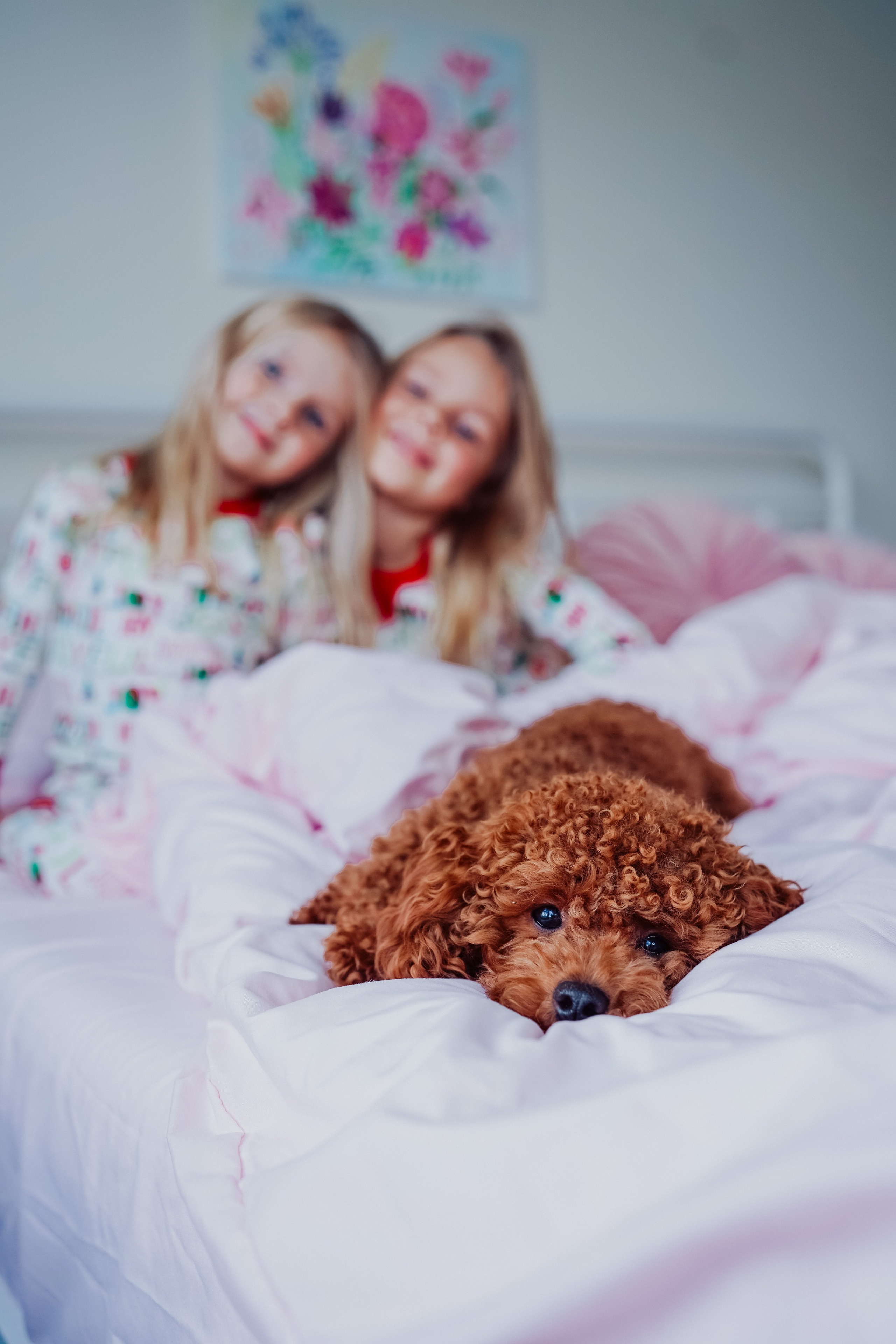 Maternity, family and newborn photography in San Francisco Bay Area