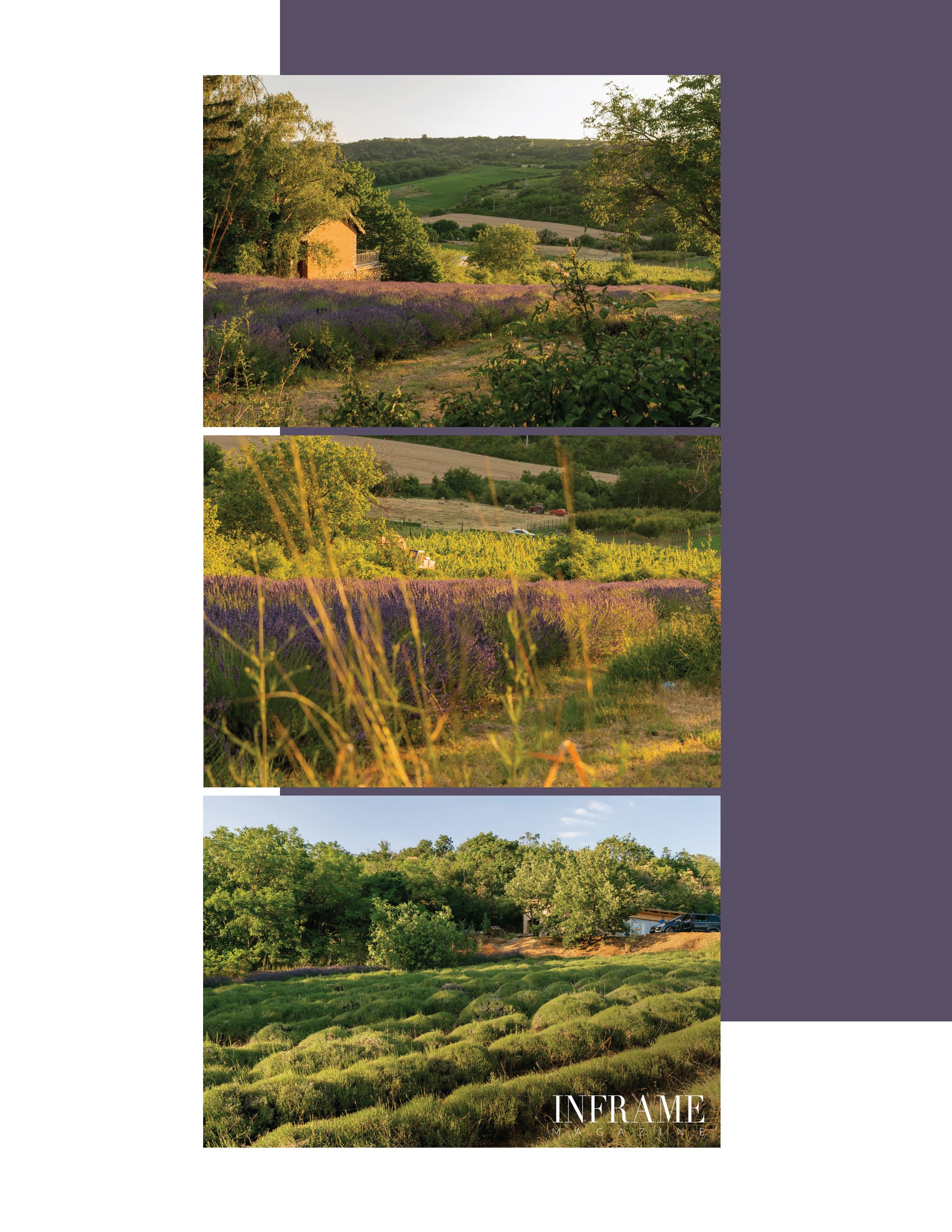 Lavender Light — fashion editorial with summer elegance. Victoria Fedoseenko. Photographer from Serbia