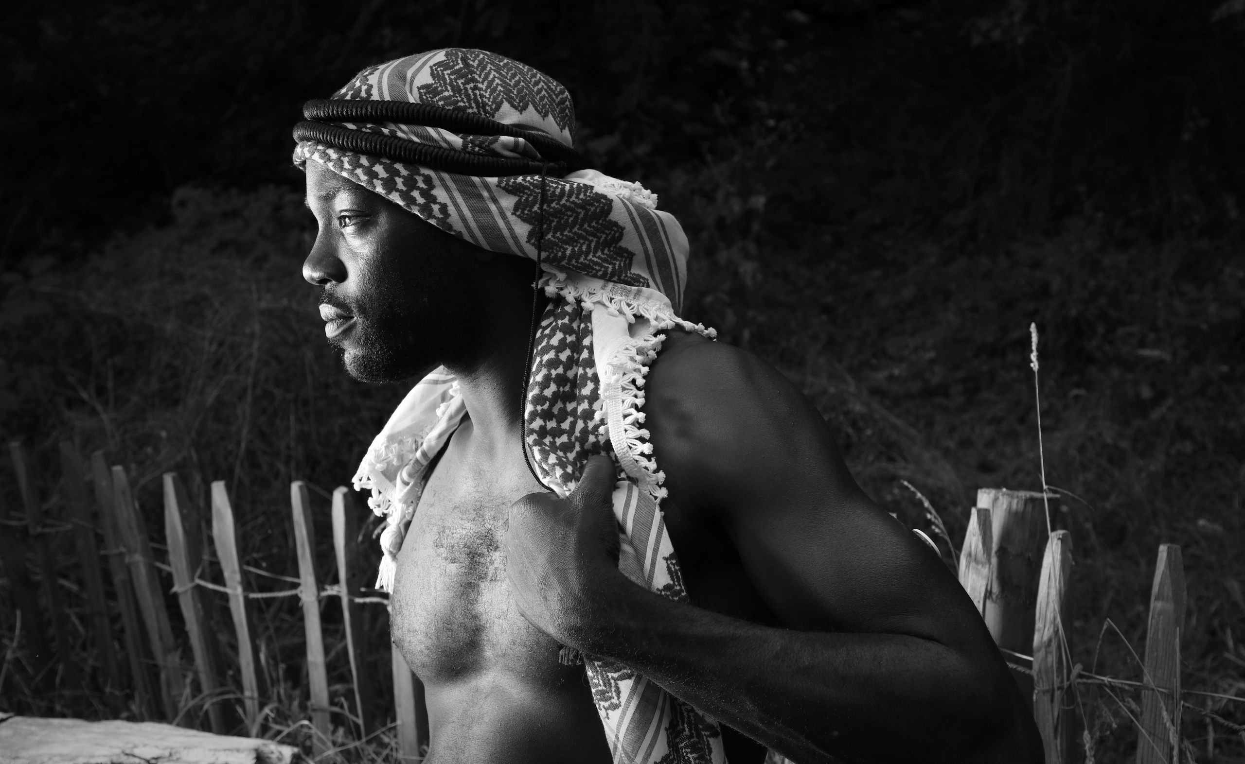 STEVE. Photographe Karen Tatevosian