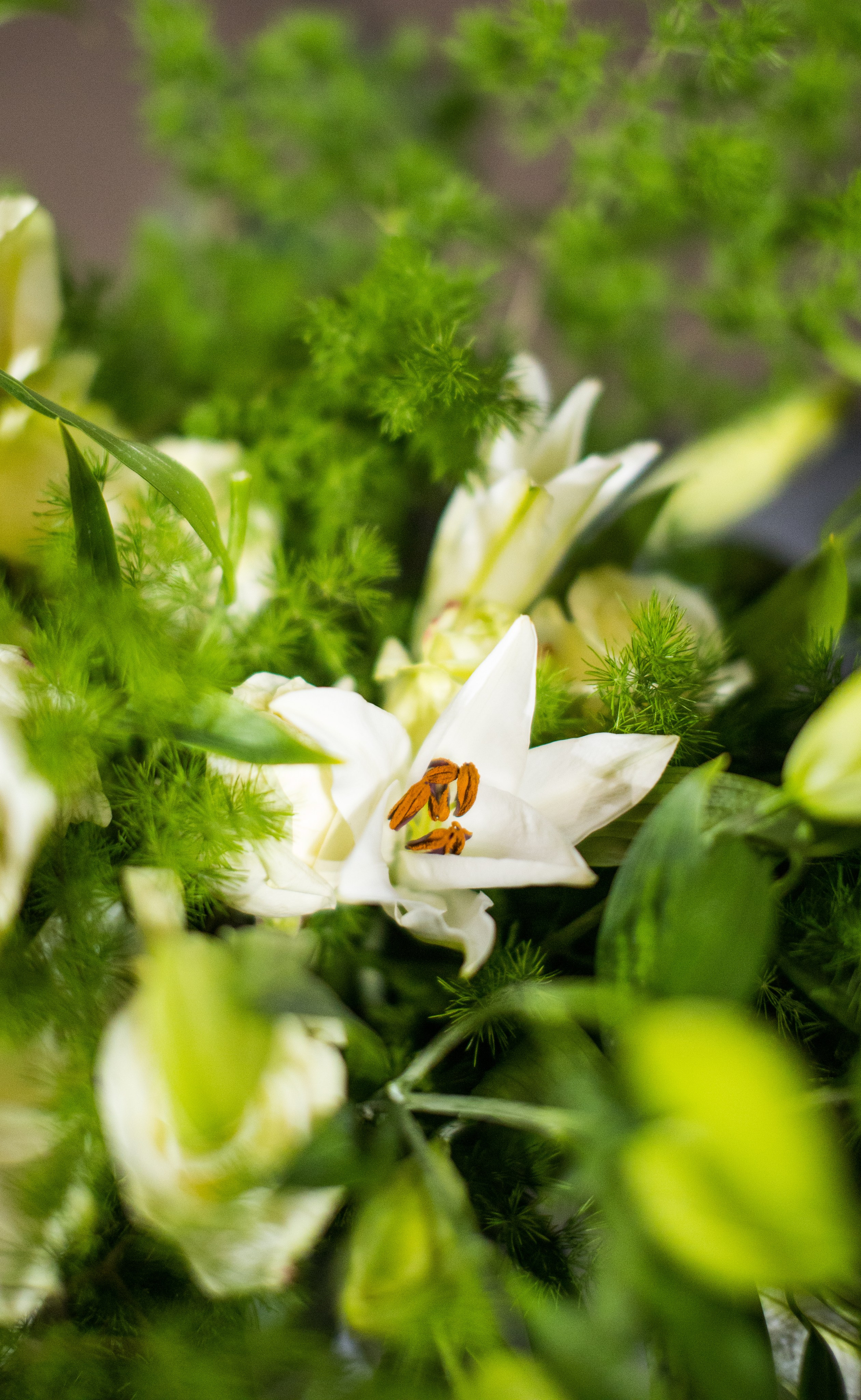 Flowers decor. Сімейний, дитячий та репортажний фотограф з Києва