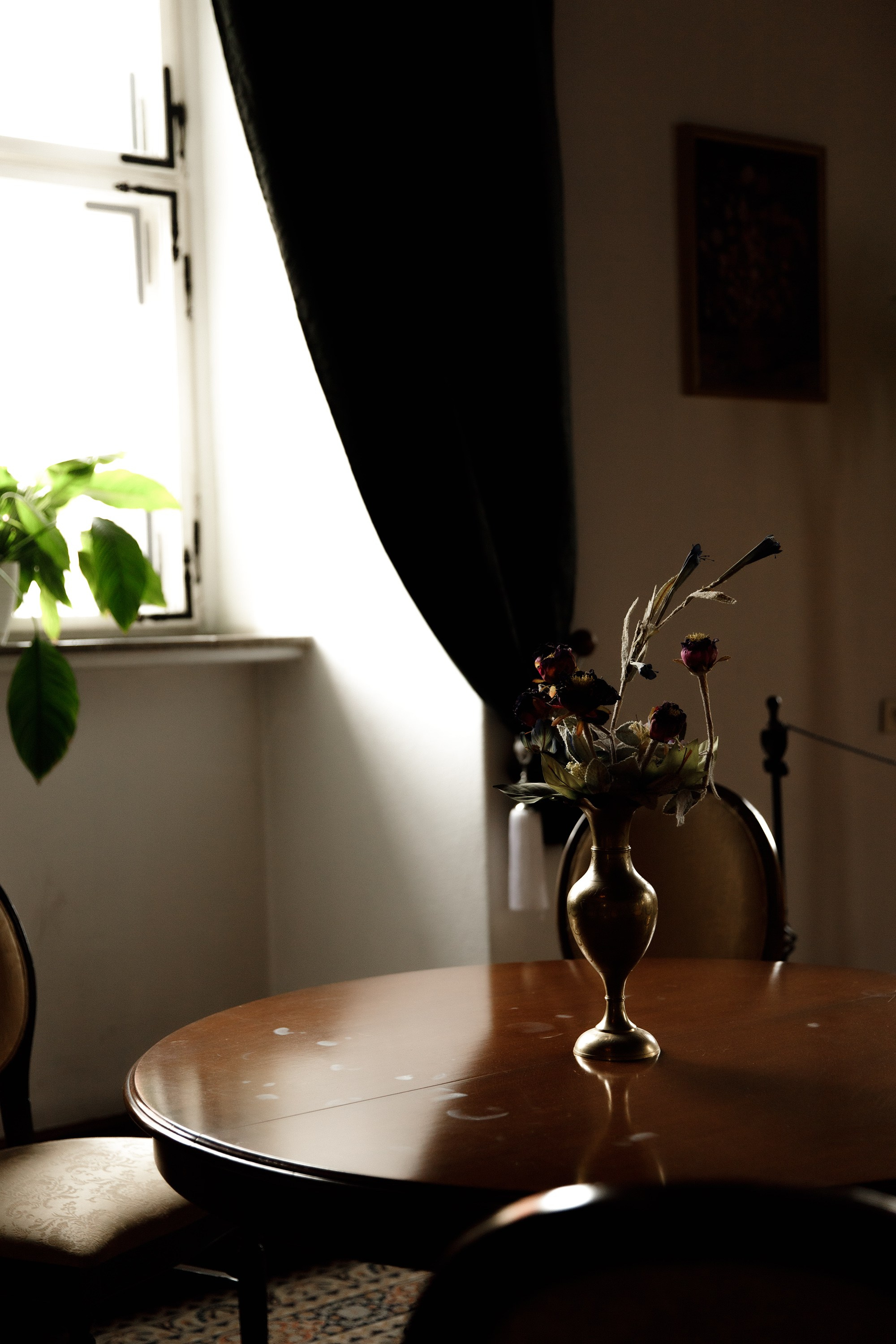 Oleśnica castle. Kaja | fotograf psów we Wrocławiu