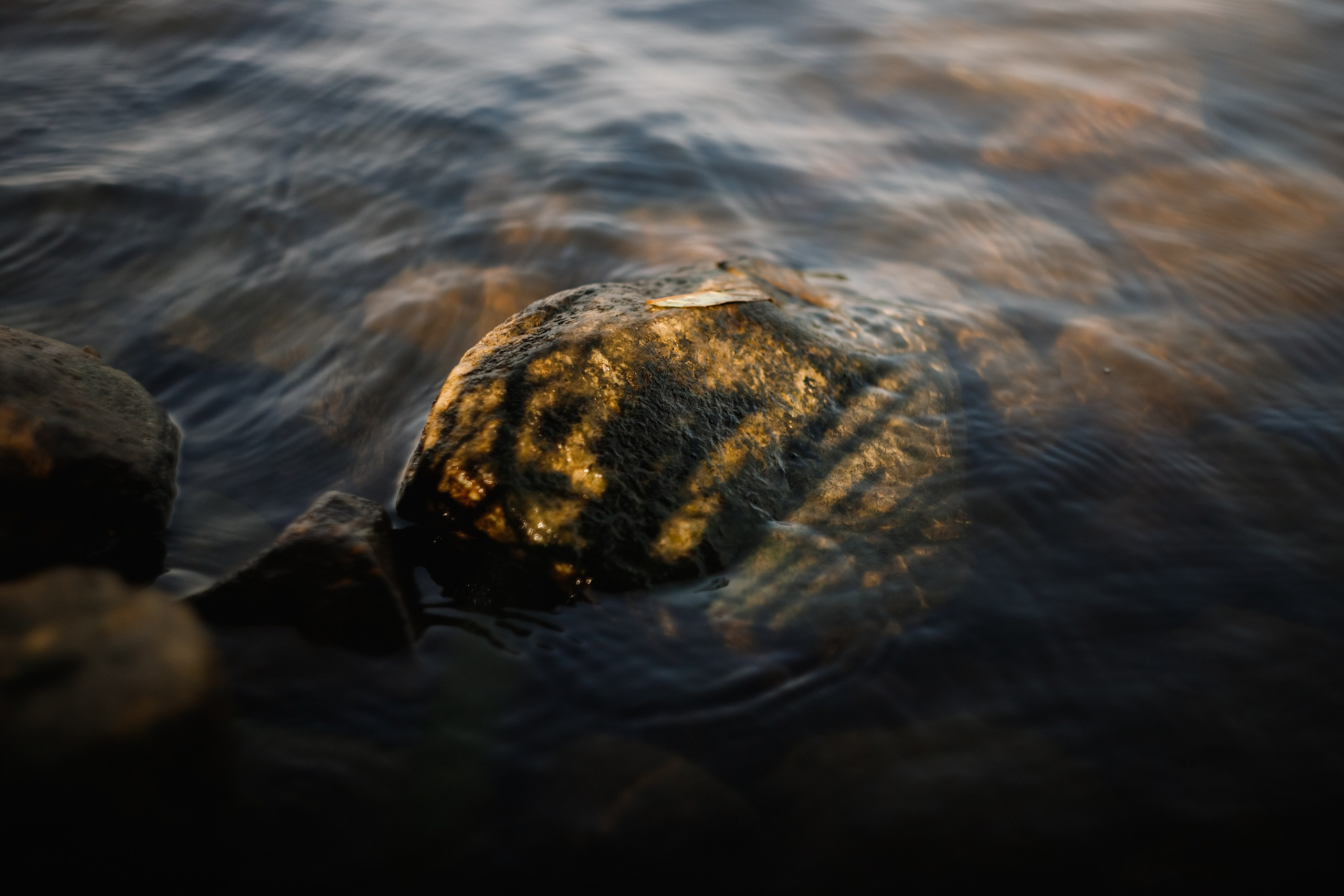 One small village in Grodno region. Kaja | fotograf we Wrocławiu | ludzie i psy