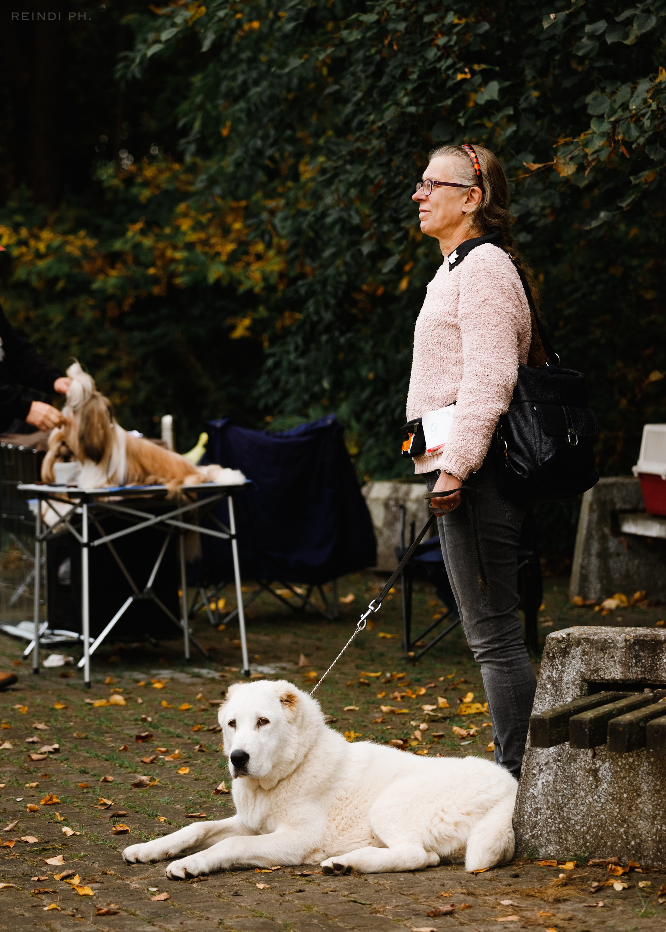 «Argus» dog show in Brest. Kaja | fotograf we Wrocławiu | ludzie i psy