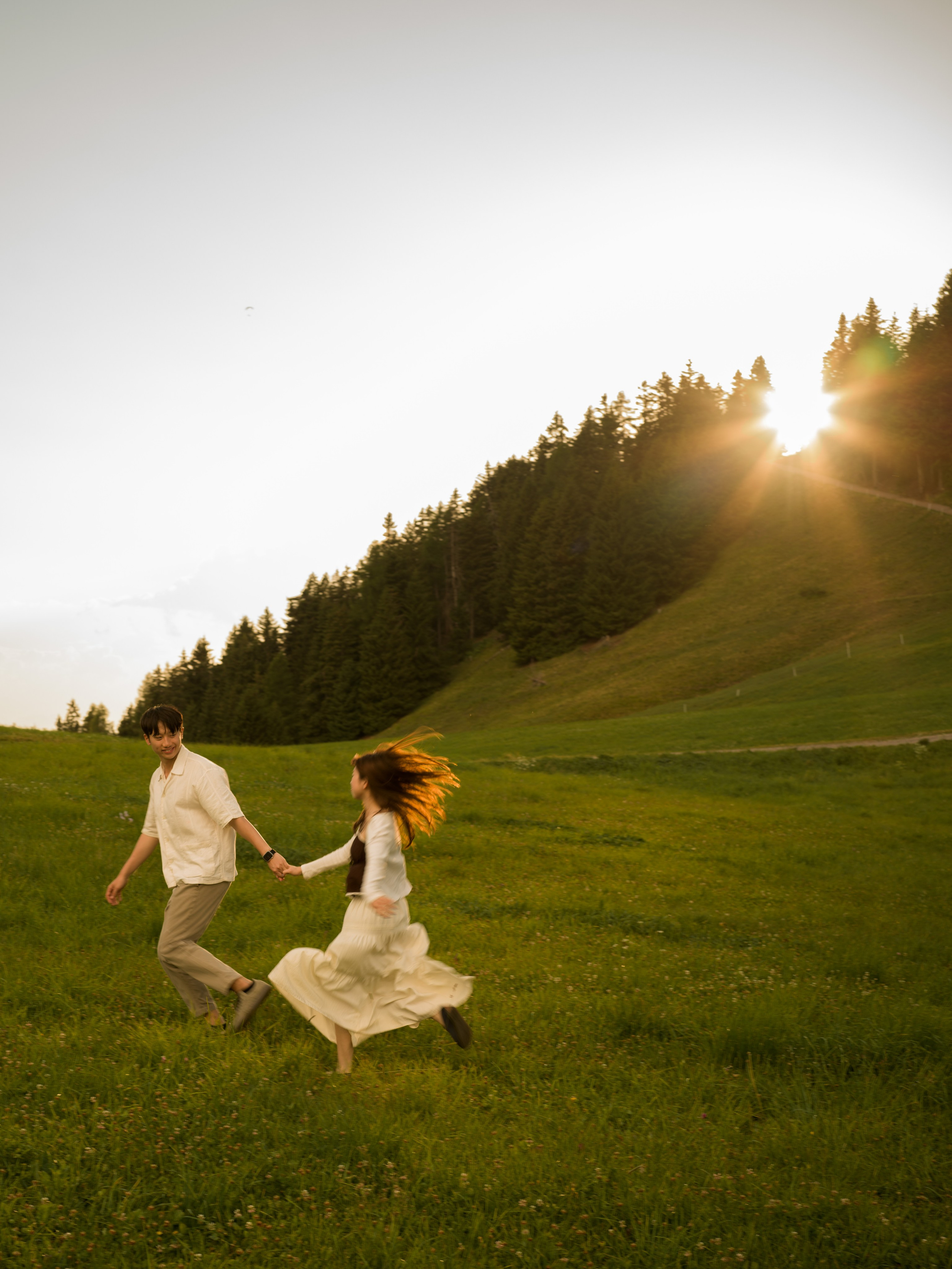 Proposal, Alpe di Siusi, the Dolomites