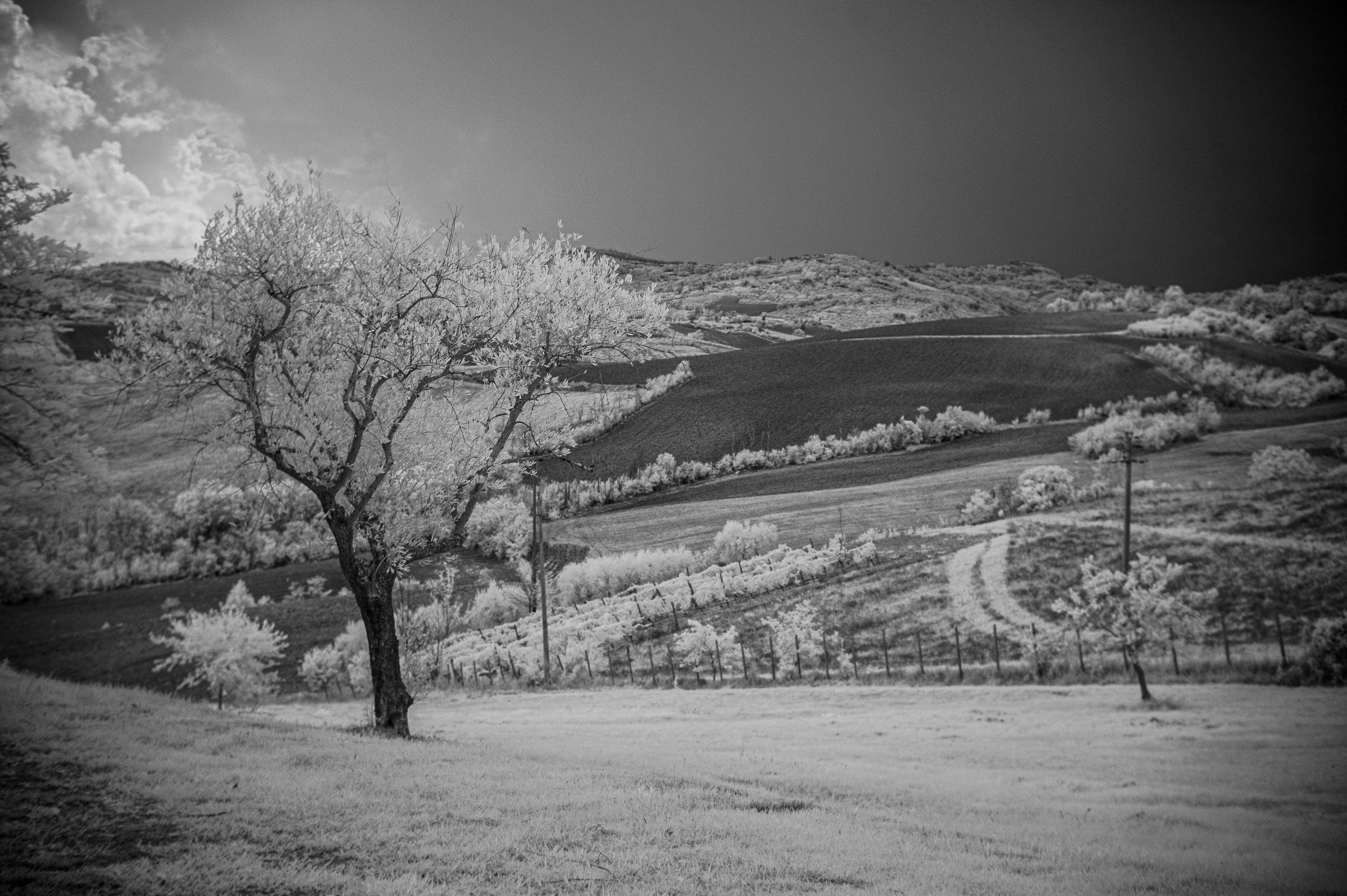 Infrarossi. Fotografia e video