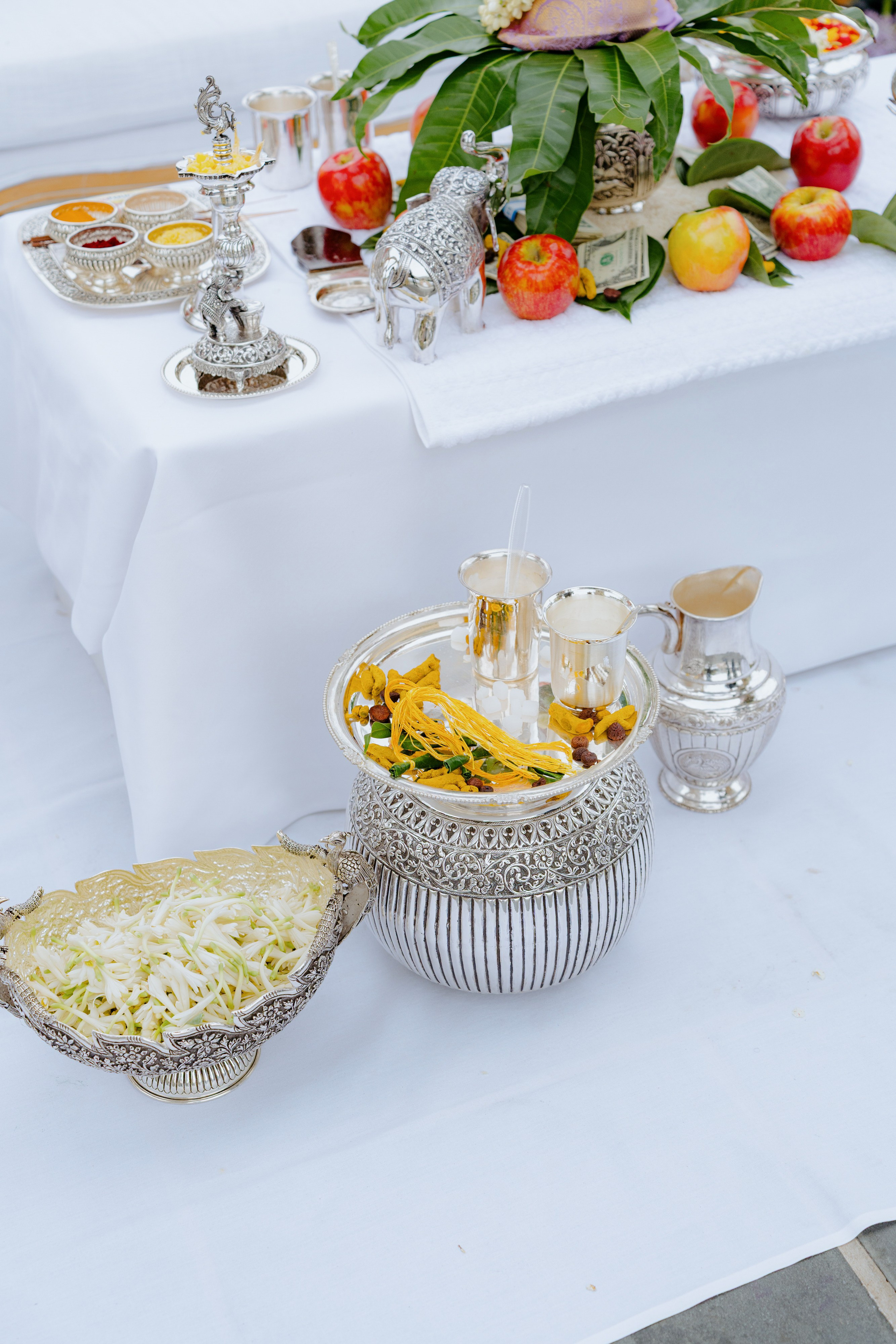 Luxury Indian Wedding Photography Gallery | New York & New Jersey & Florida | Vova Chi. Wedding photographer and videographer New York | New Jersey