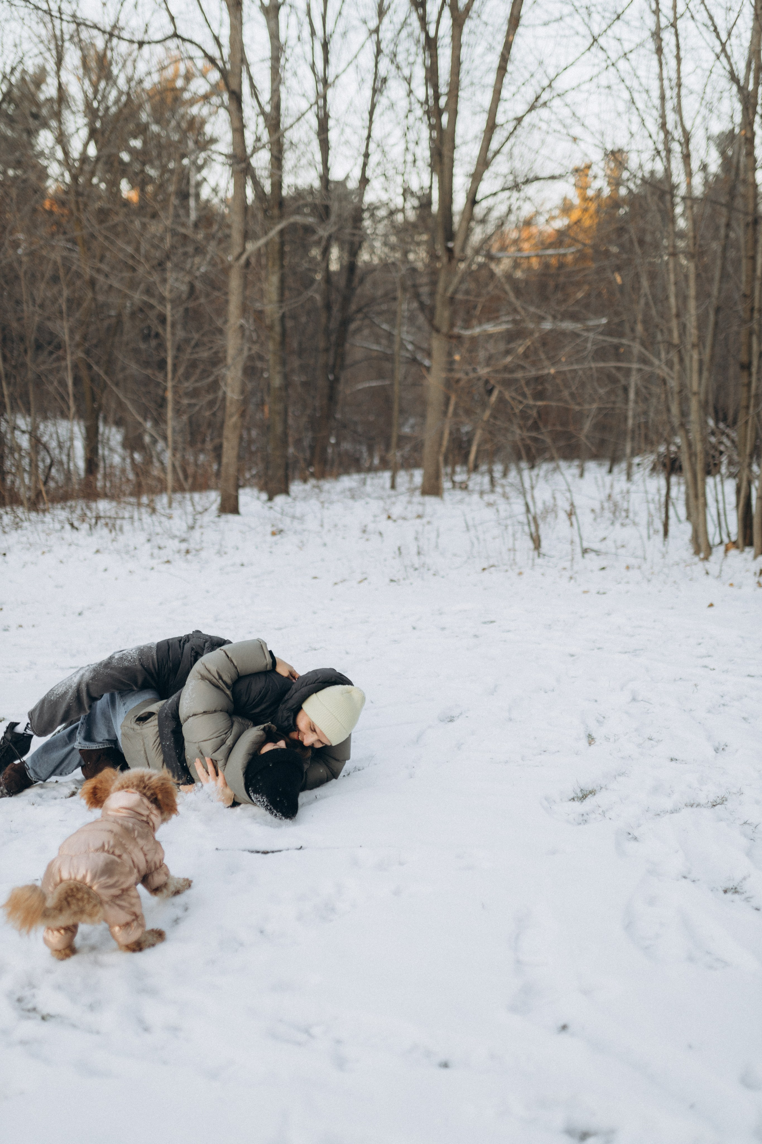Winter magic. Chernenko.photography