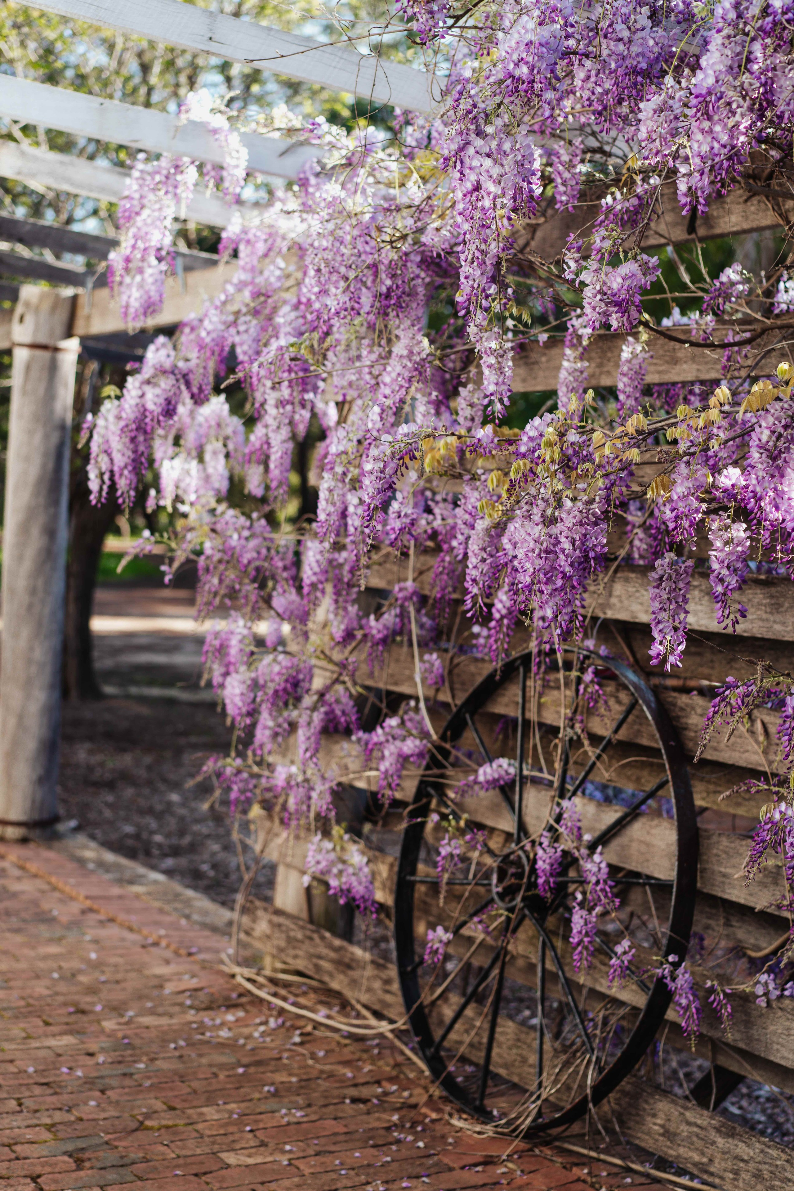 Emma Joy Photography