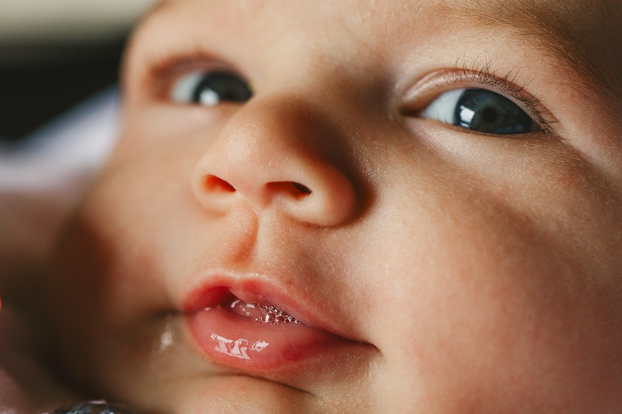 Events & Celebrations. Giandamorgana