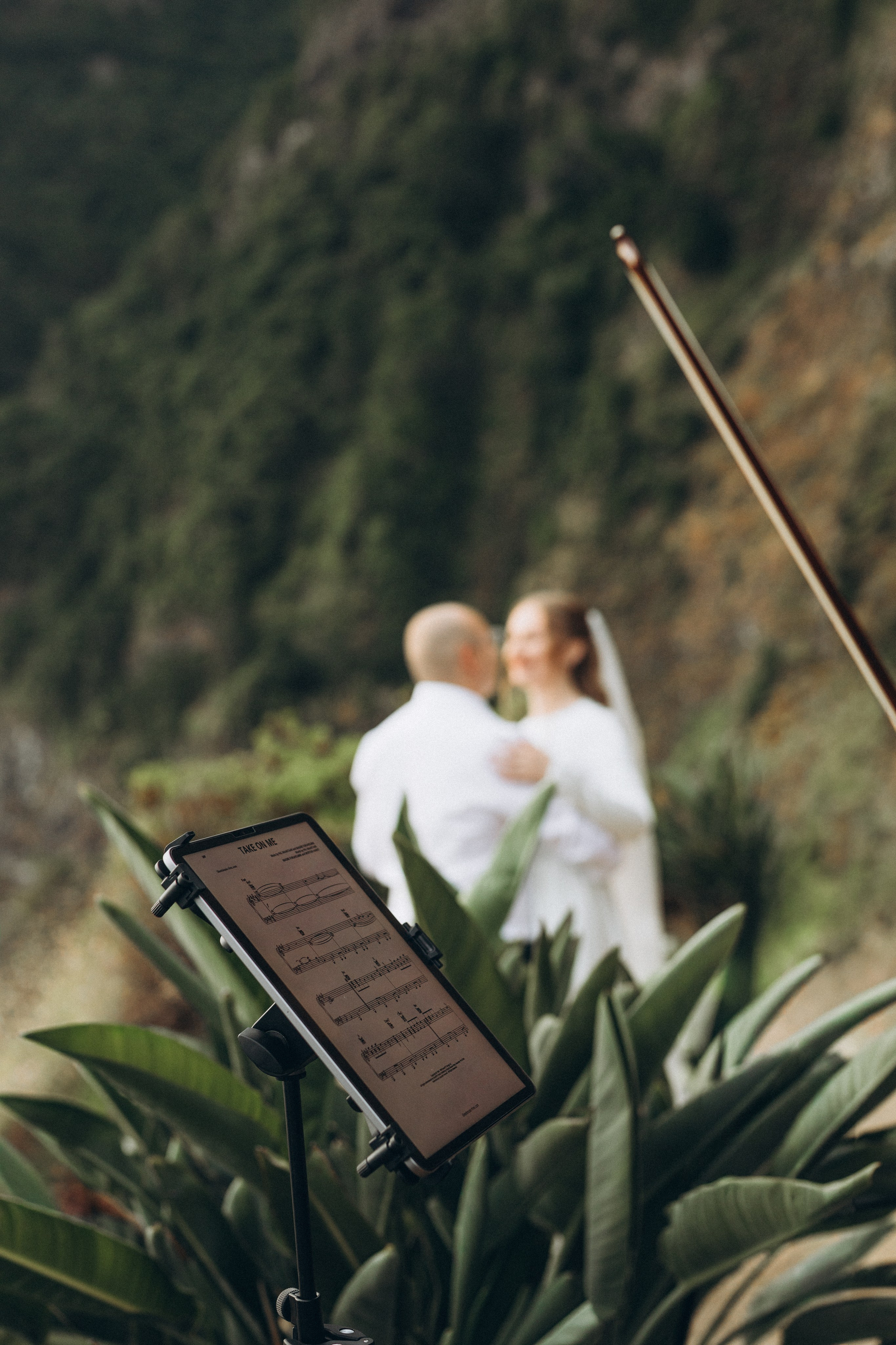 Elopment. Photographer Madeira — couple, elopment, family