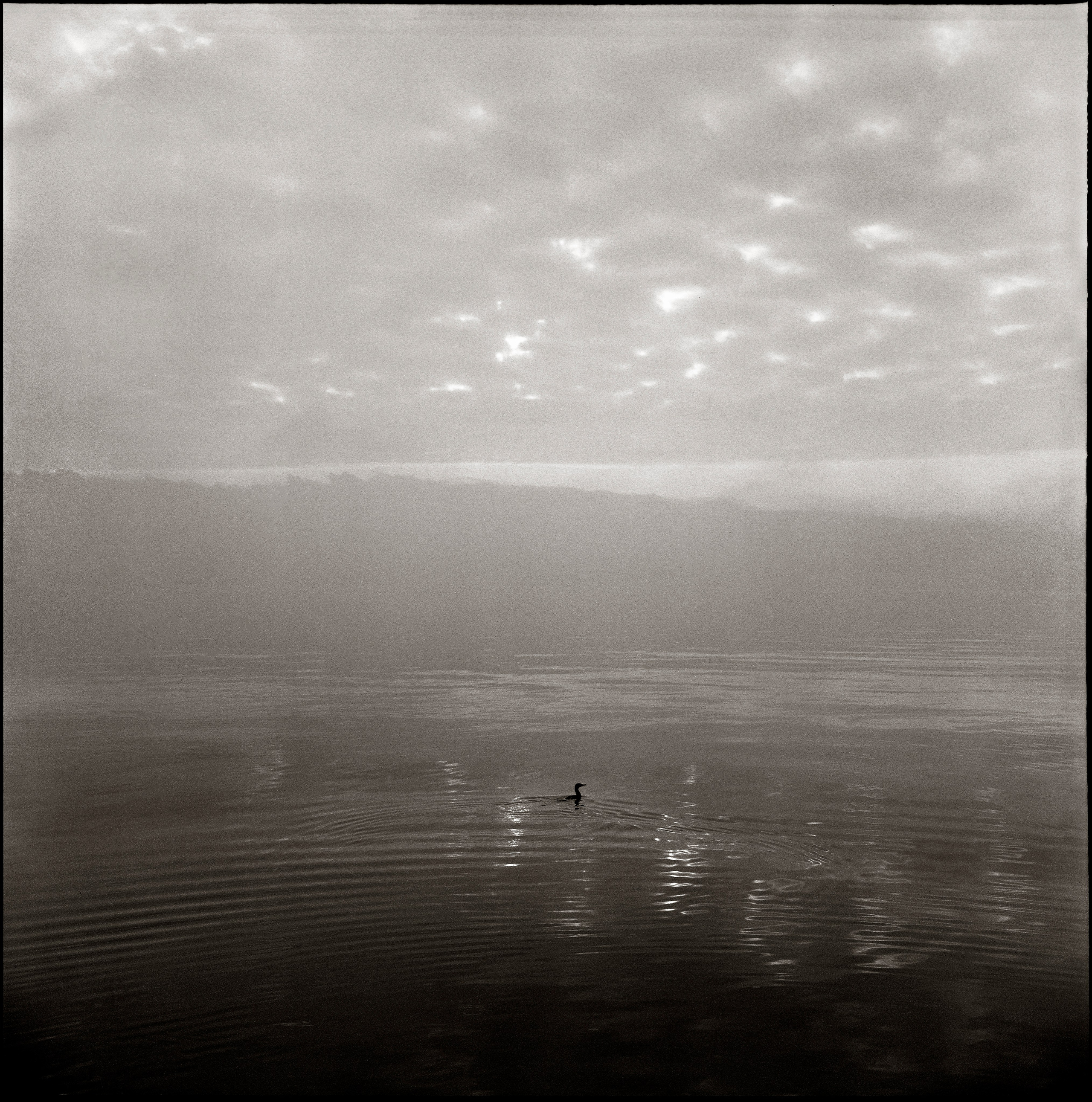 NATURE. Www.sananaleskerov.com