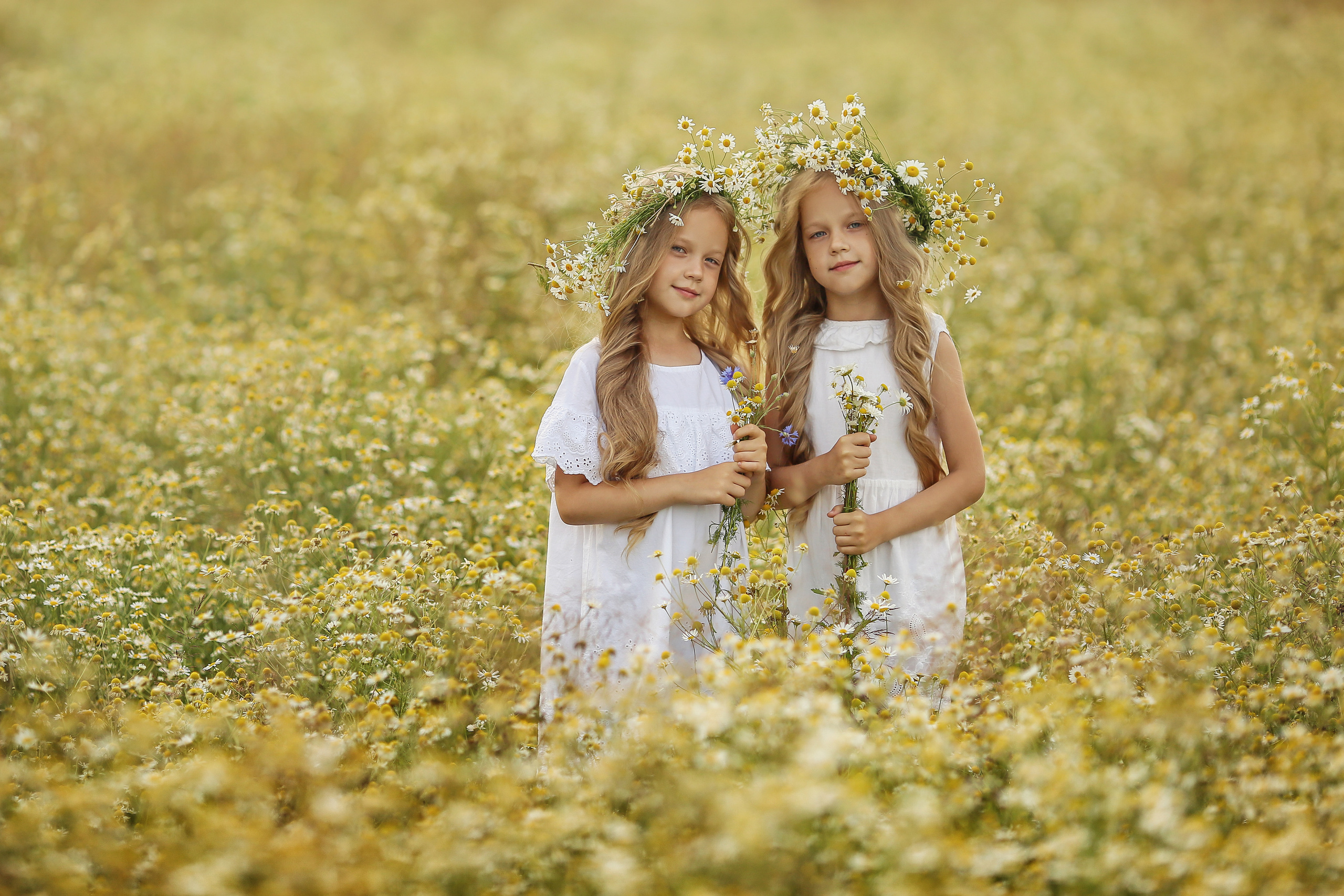 Ромашки. Свадебный, семейный и детский фотограф в Беларуси и за ее пределами