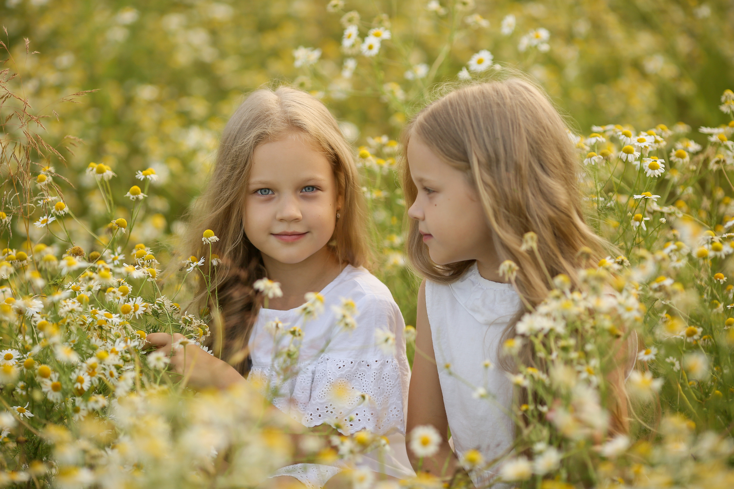 Ромашки. Свадебный, семейный и детский фотограф в Беларуси и за ее пределами