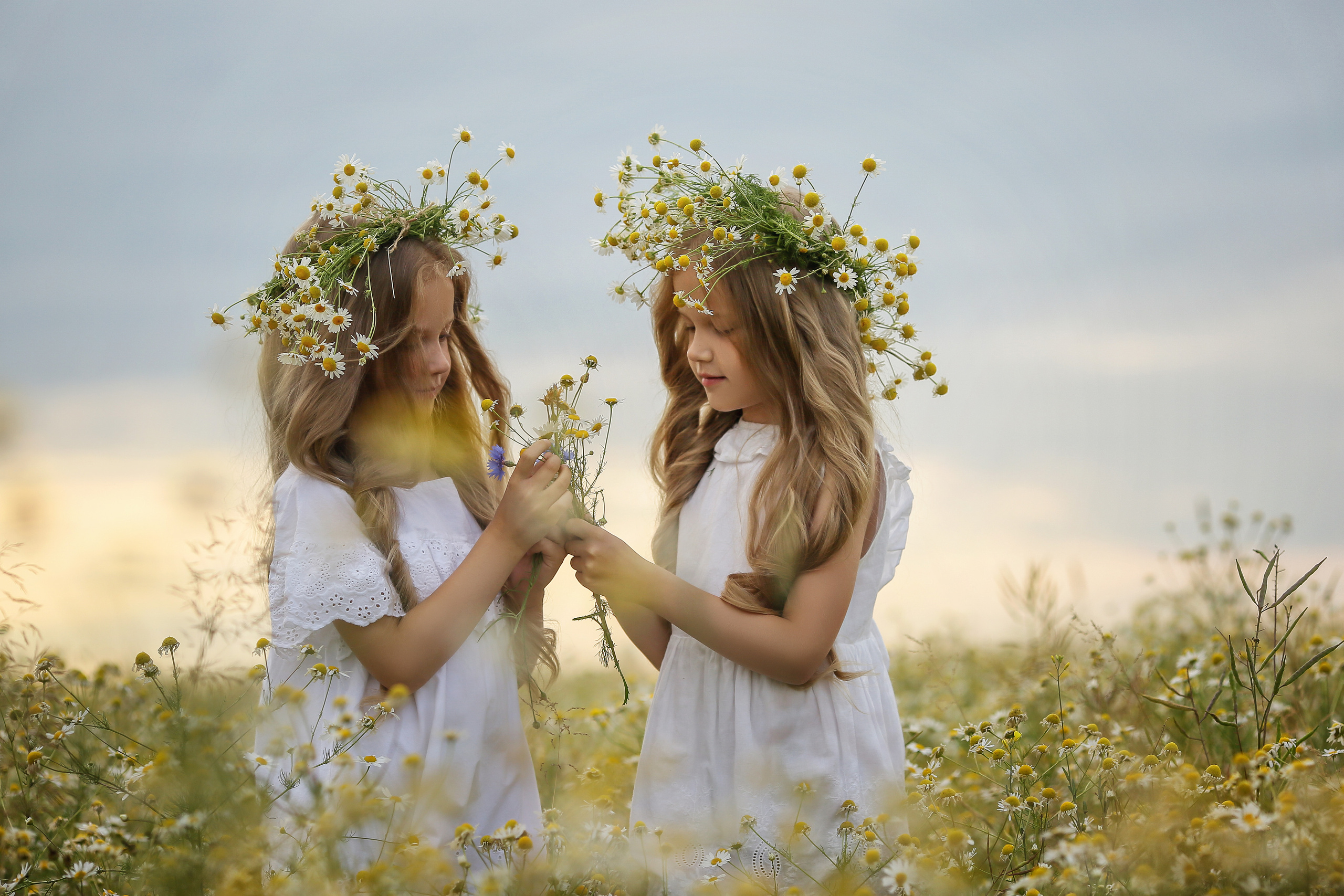 Ромашки. Свадебный, семейный и детский фотограф в Беларуси и за ее пределами