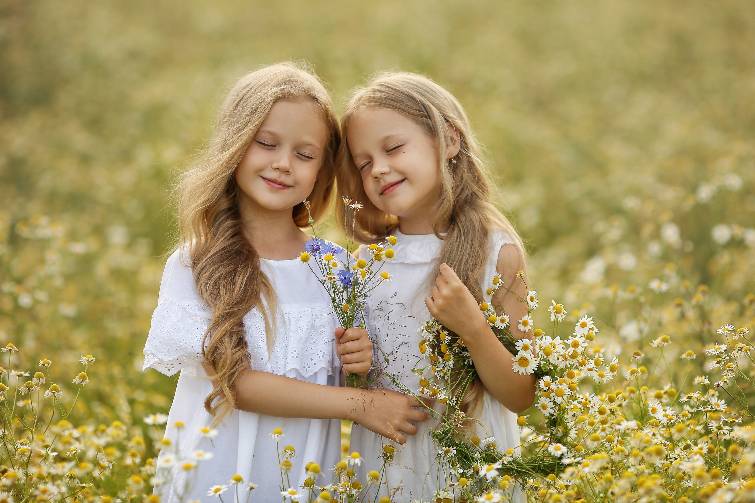 Ромашки. Свадебный, семейный и детский фотограф в Беларуси и за ее пределами