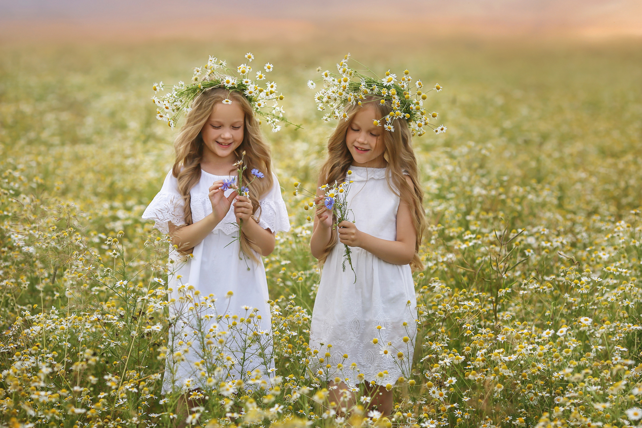 Ромашки. Свадебный, семейный и детский фотограф в Беларуси и за ее пределами