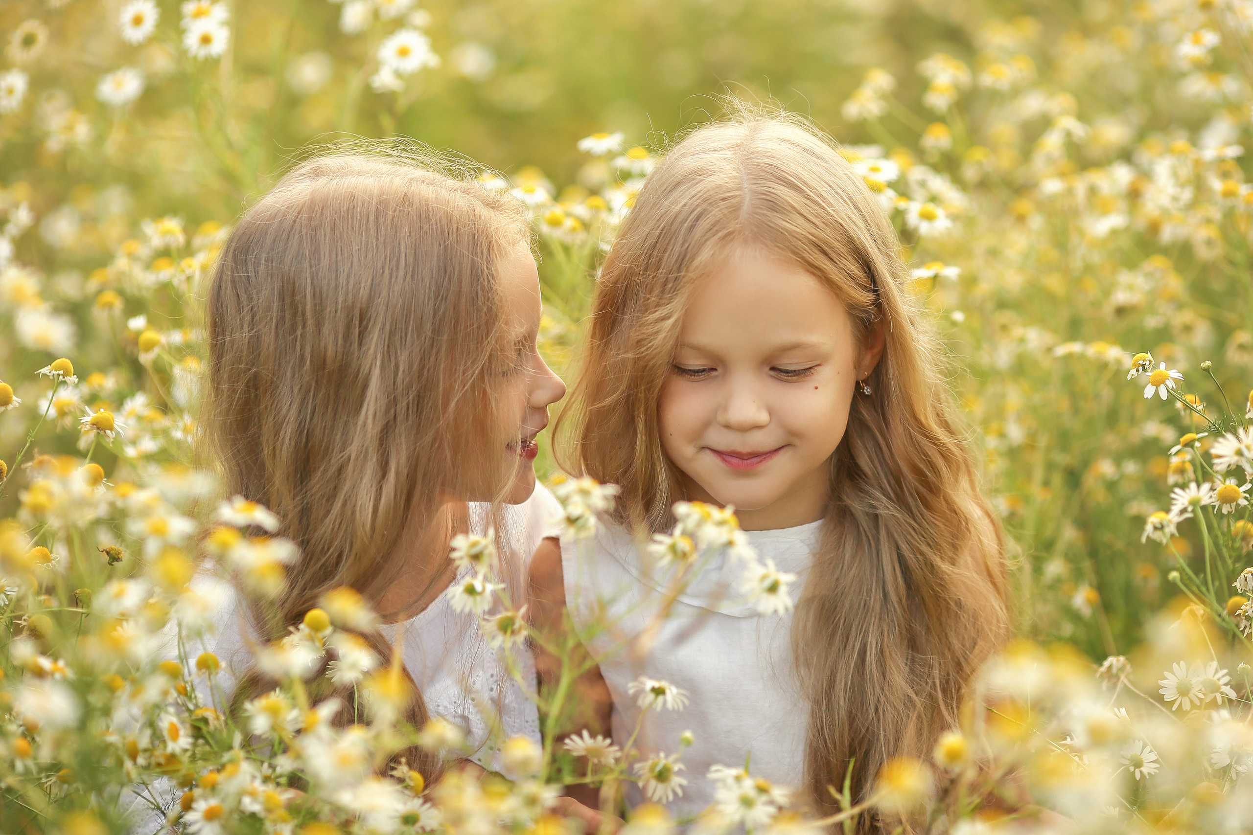 Ромашки. Свадебный, семейный и детский фотограф в Беларуси и за ее пределами