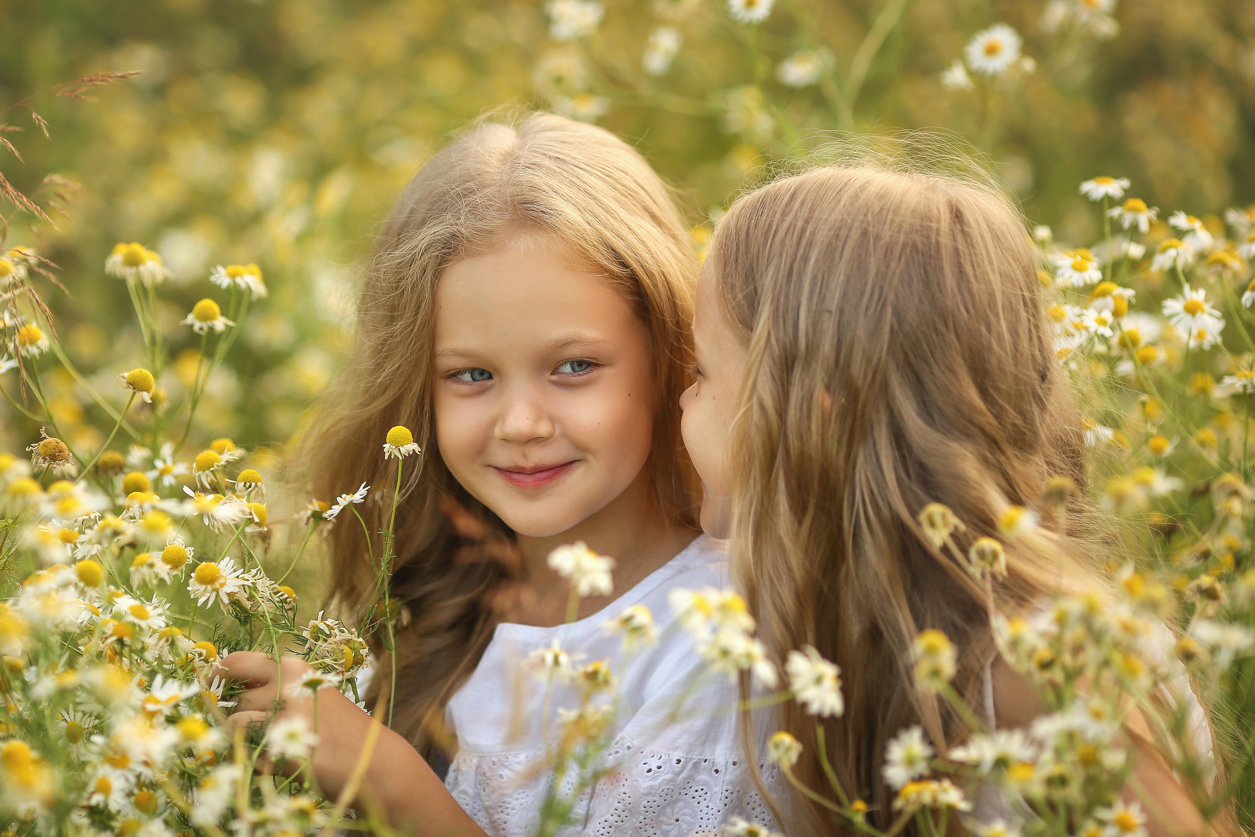 Ромашки. Свадебный, семейный и детский фотограф в Беларуси и за ее пределами