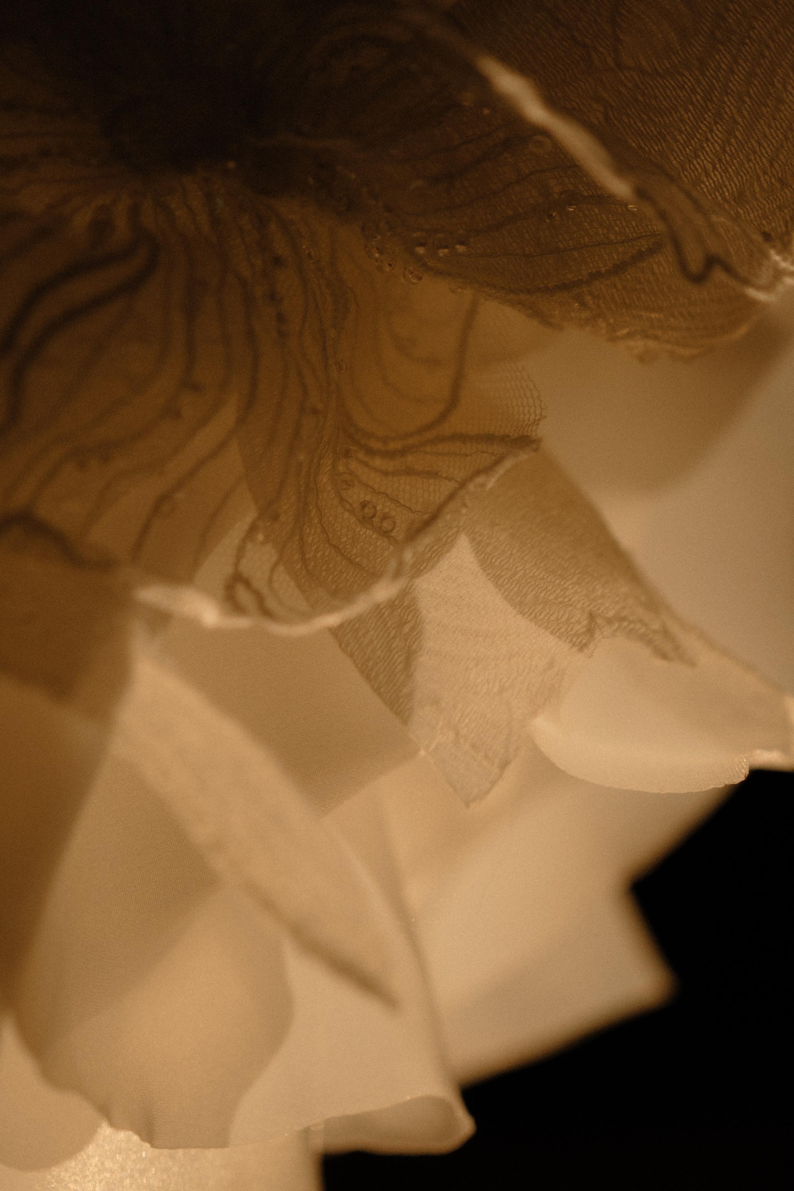 Katarzyna & Jan. Masia Santa Monica. Paola wedding photographer / videographer in Barcelona