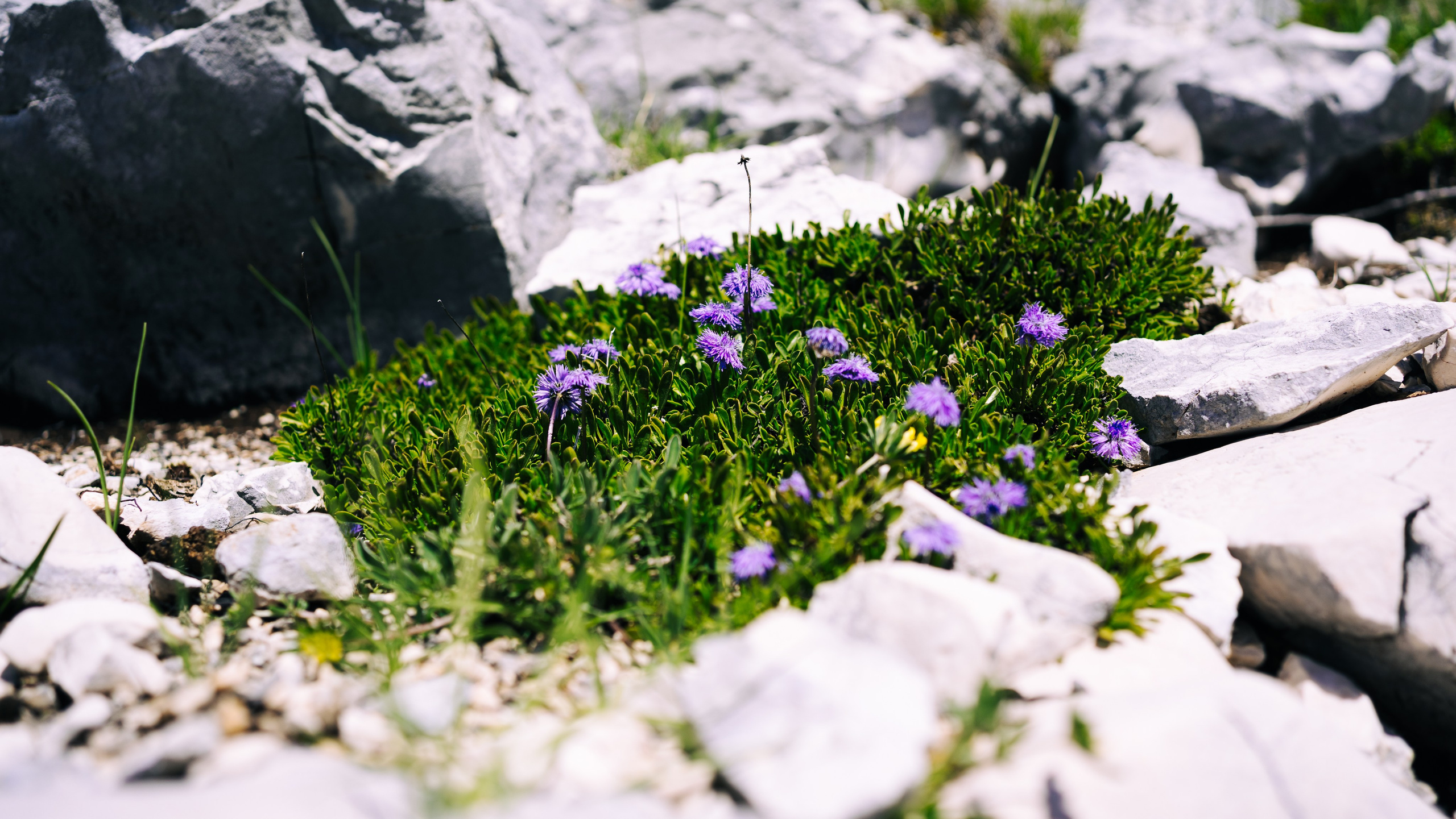LANDSCAPE. PHOTOGRAPHER|VIDEOGRAPHER MONTENEGRO