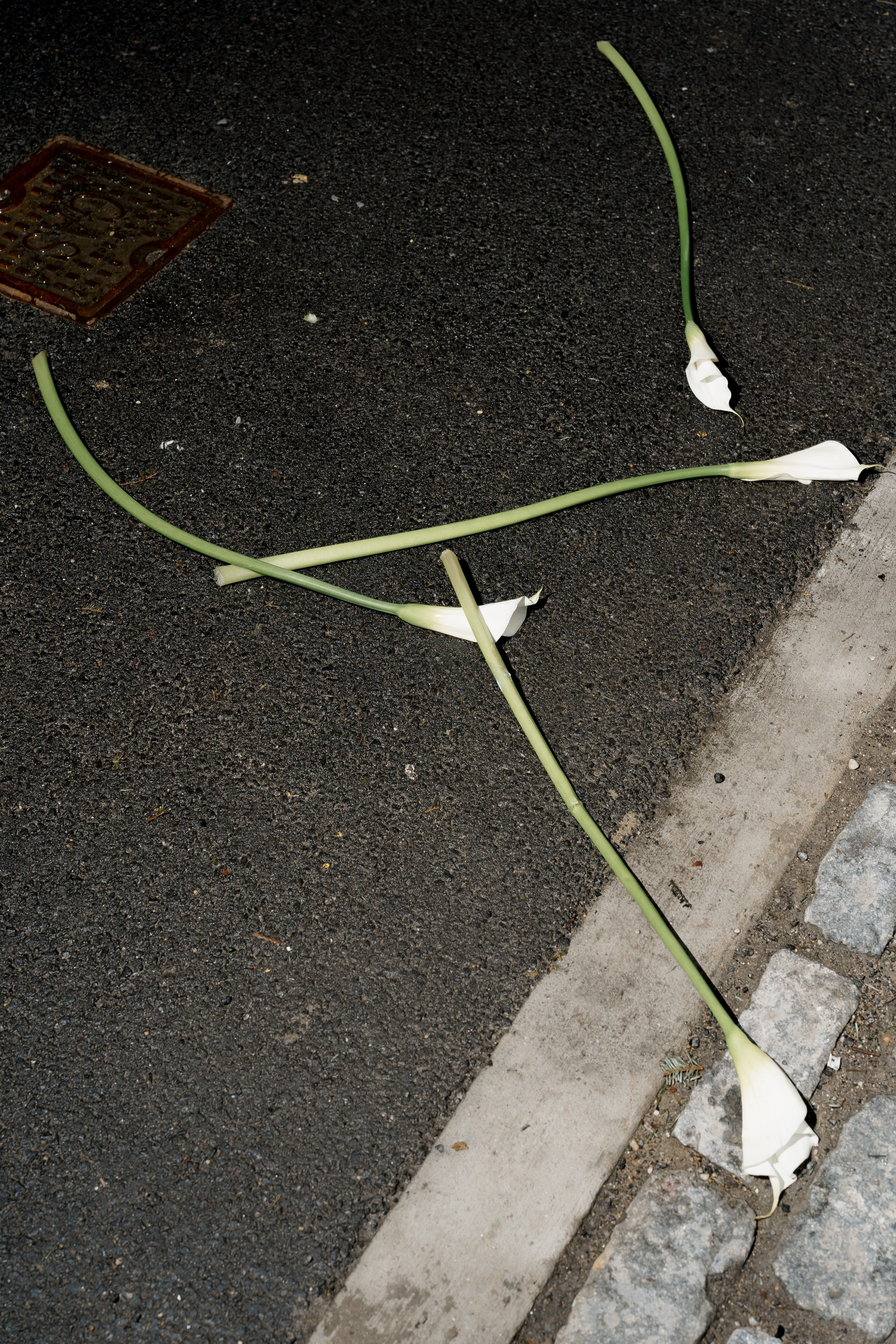 Alina and Dan’s Bold and Stylish Engagement Shoot. Wedding photographer and videographer New York | New Jersey