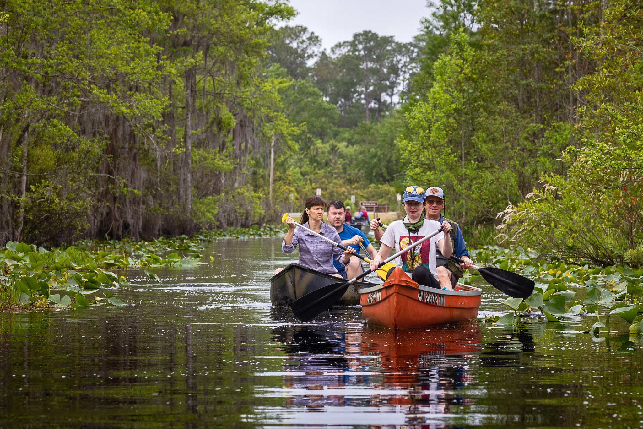 Exploring True Florida: Springs, Rivers & Manatees by Canoe. Pet, Senior, Landscape, portrait studio, photographer in Miami and Sou