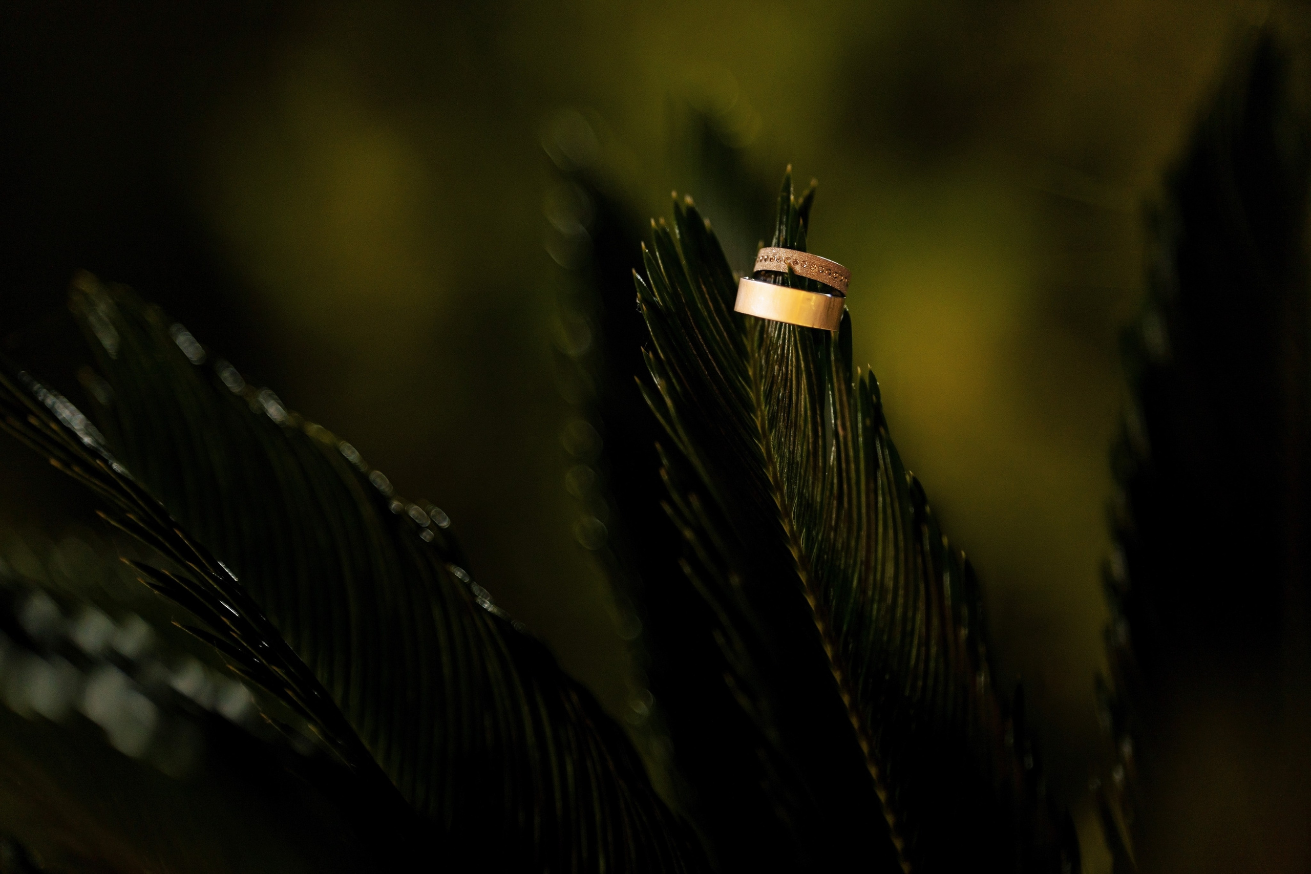 Maia & Alex. Fotograf evenimente. Fotograf nunta. Fotograf Botez. Mihaela Savu