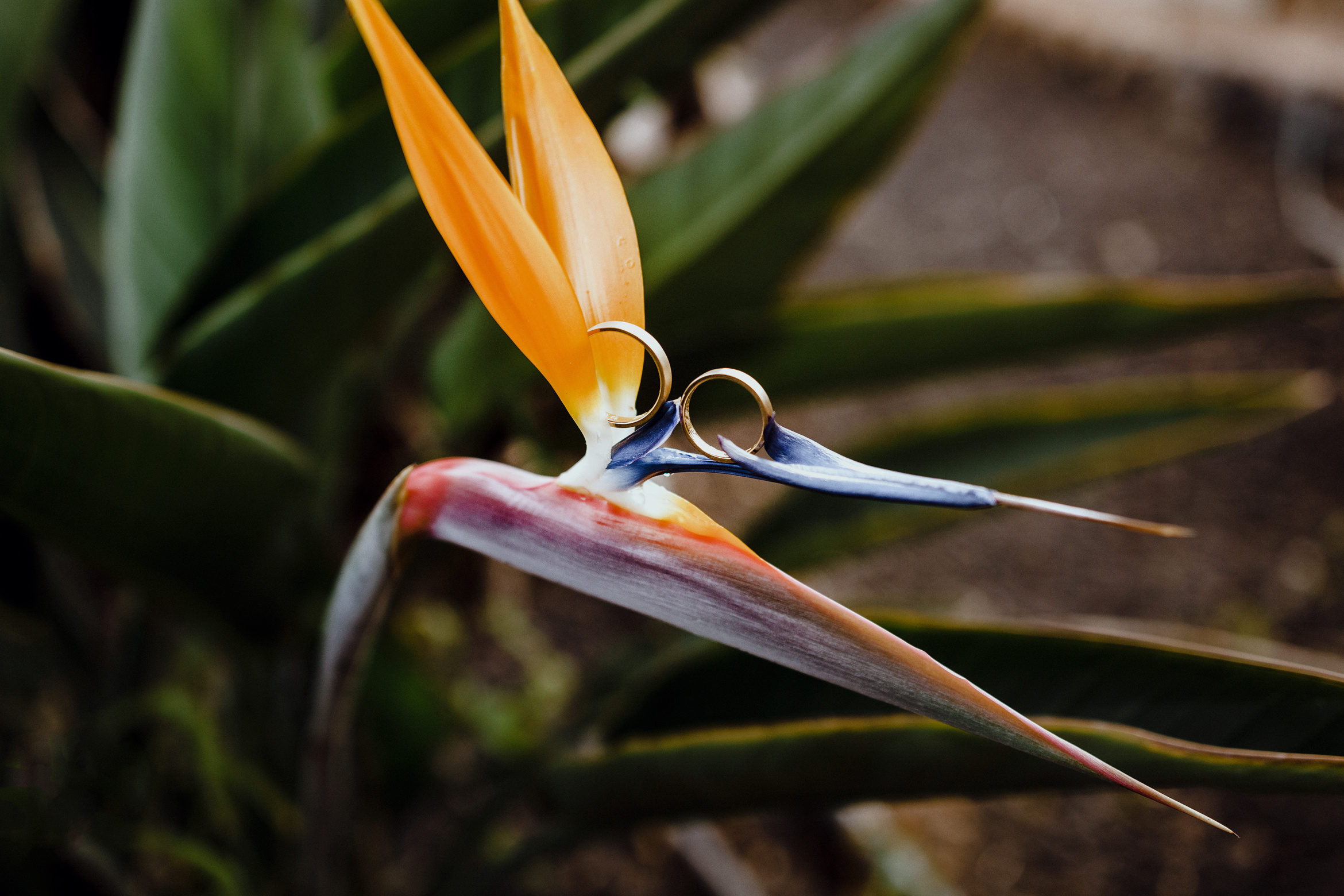 Bodas. Fotógrafo en Tenerife Edgar Zubarev