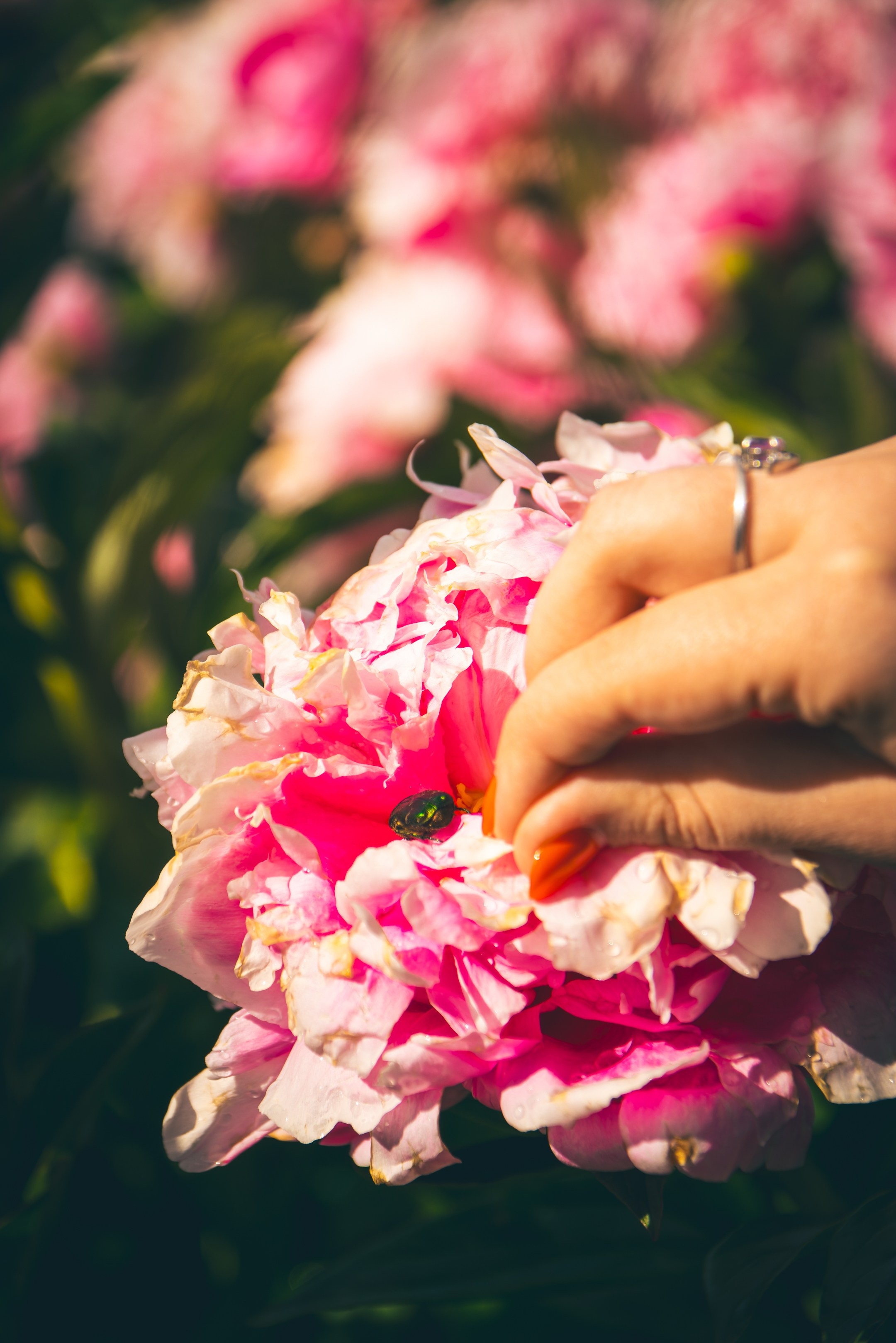 Saaremaa, reis (Nika A.). Nebula 25 — Fotod teie hingele