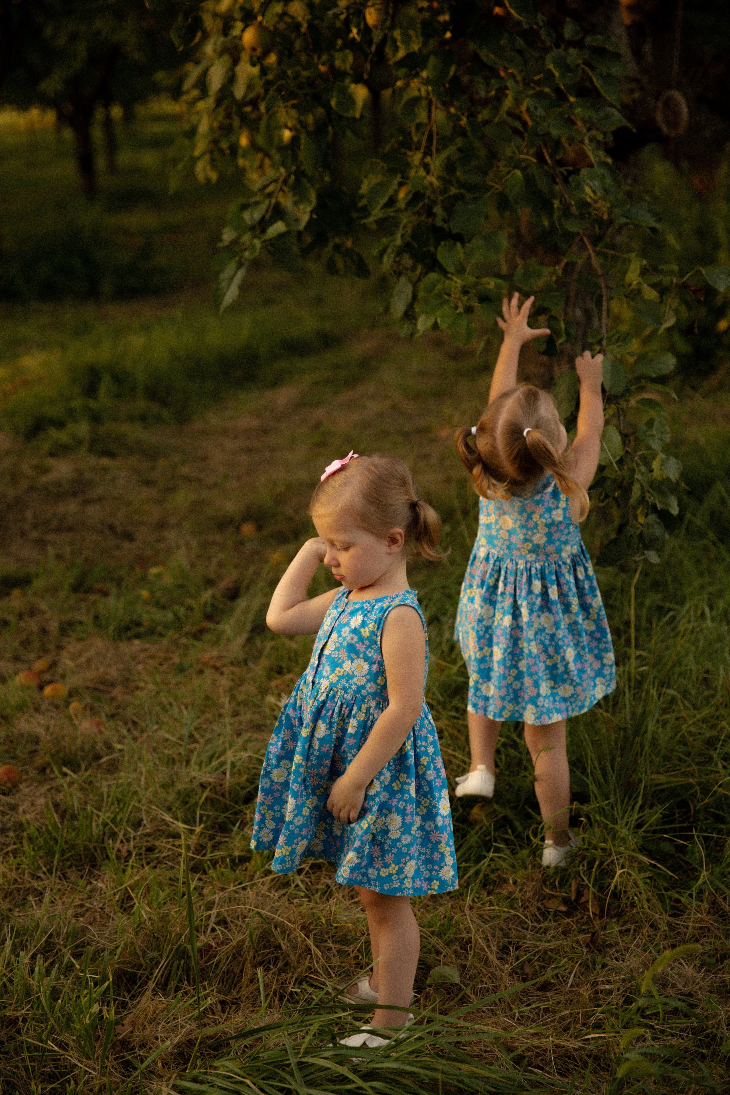 Familien. Huzyk Fotografie. Hochzeits- und Familienfotografin. Freiburg und Umgebung