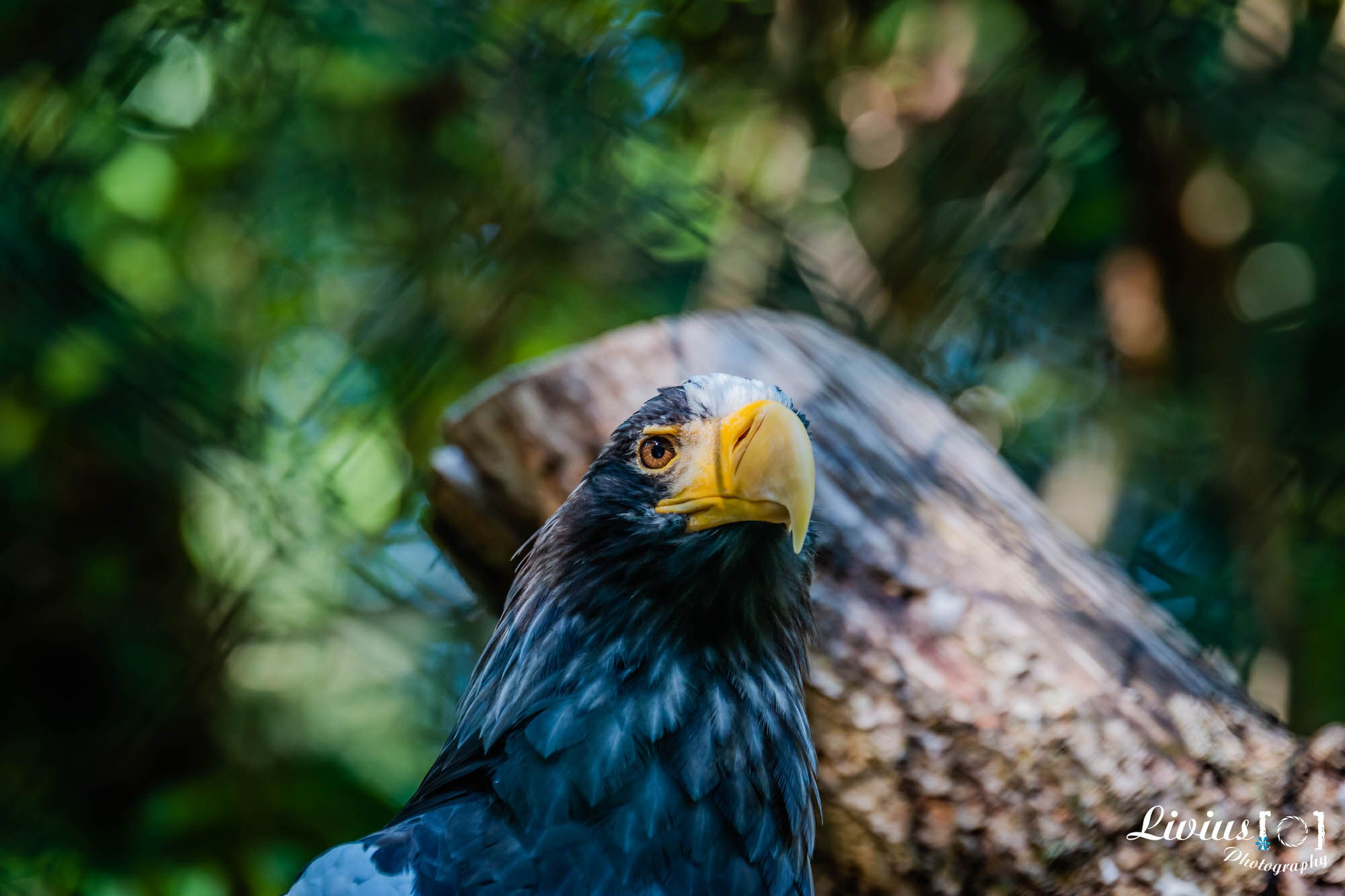 Tierpark Nürnberg. FOTO KREATIV
