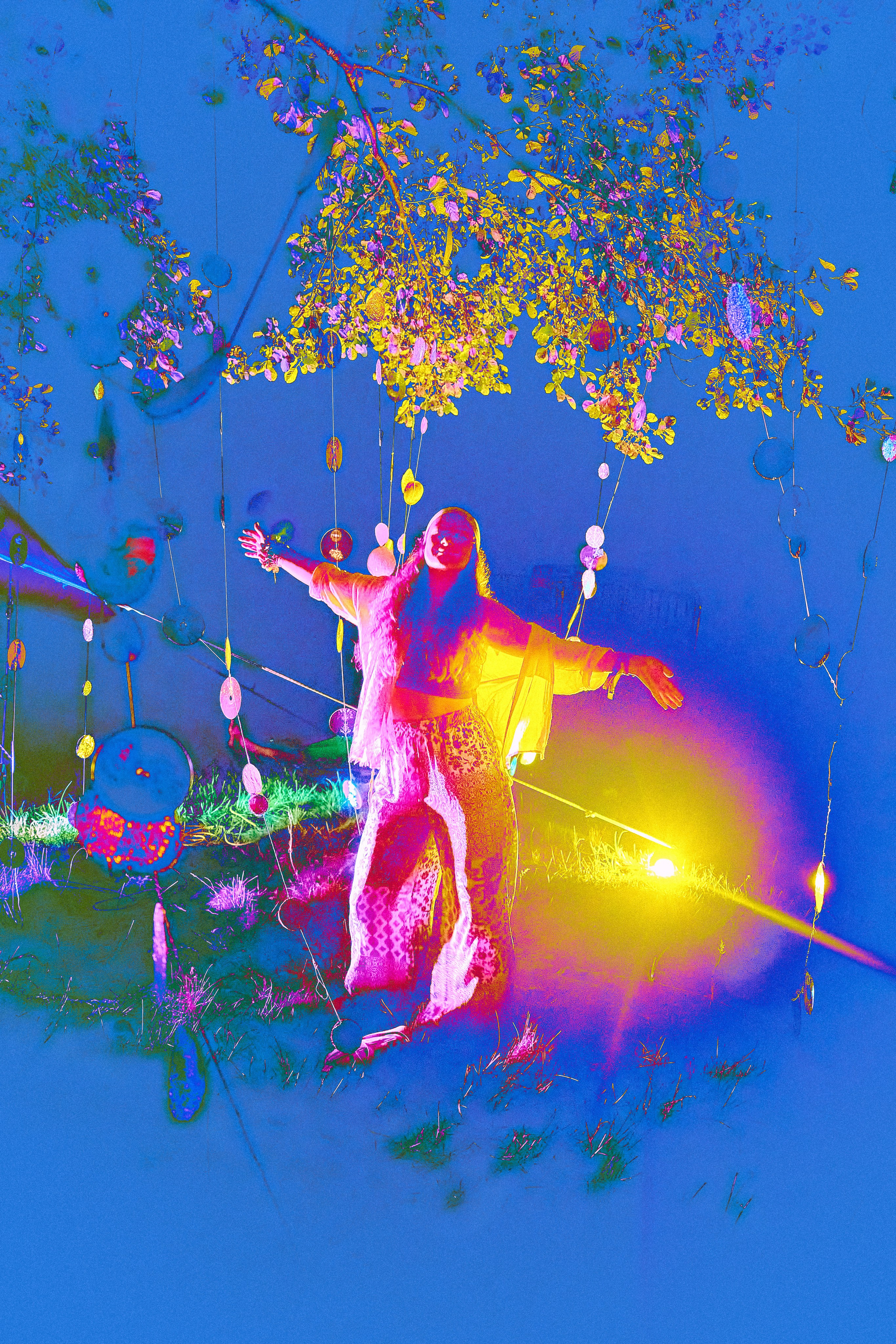 Organic Festival 2024. Андрей Шипилов — Фотография & Видеография