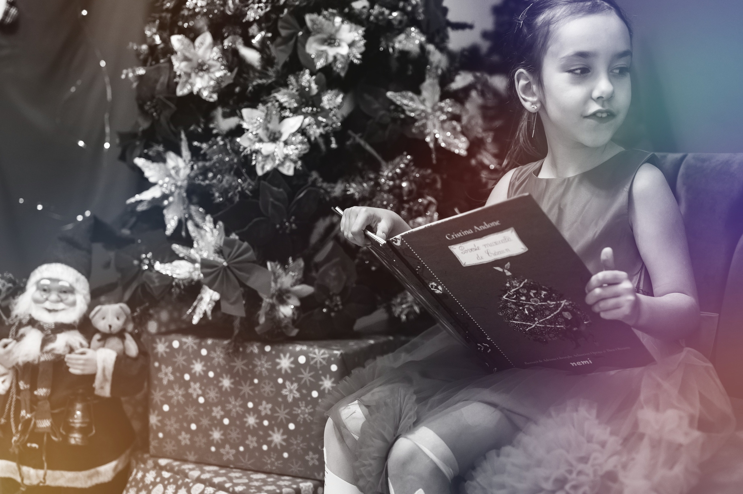 Sedinta Craciun Sofia