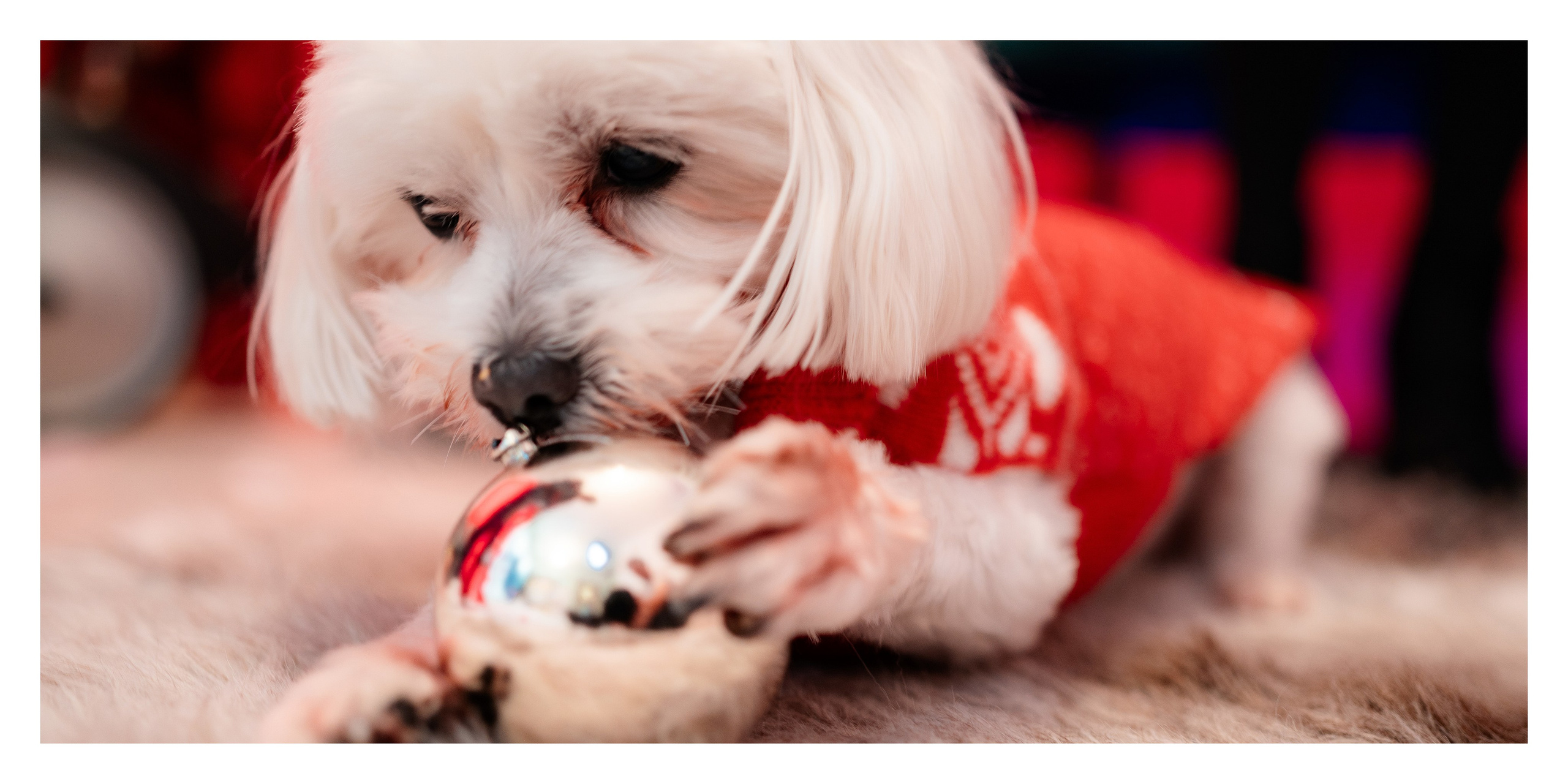 Alexandrina, o zi magica in familie